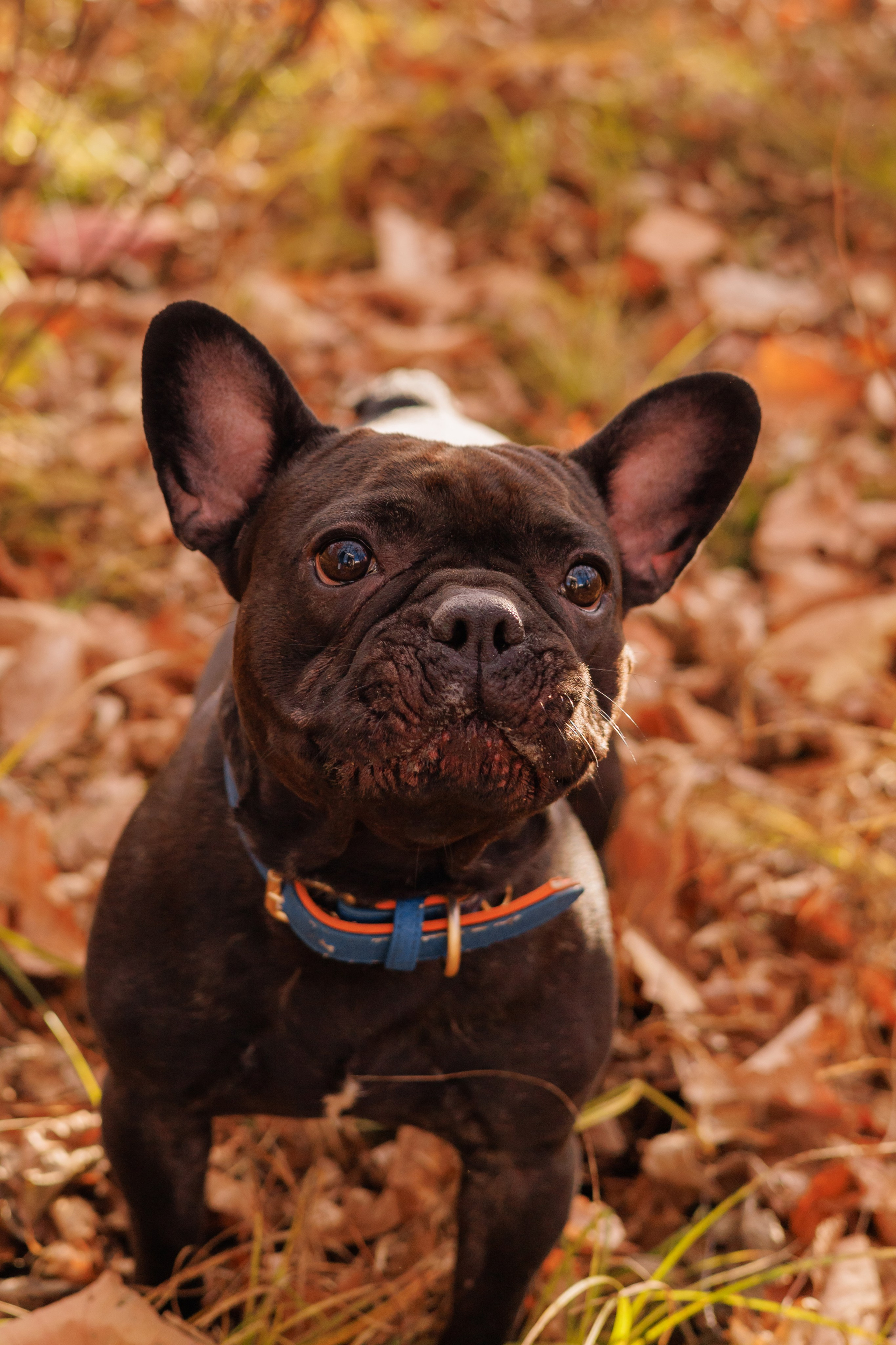 Детский семейный фотограф. Детский и семейный фотограф  Биробиджан Оля Светагор