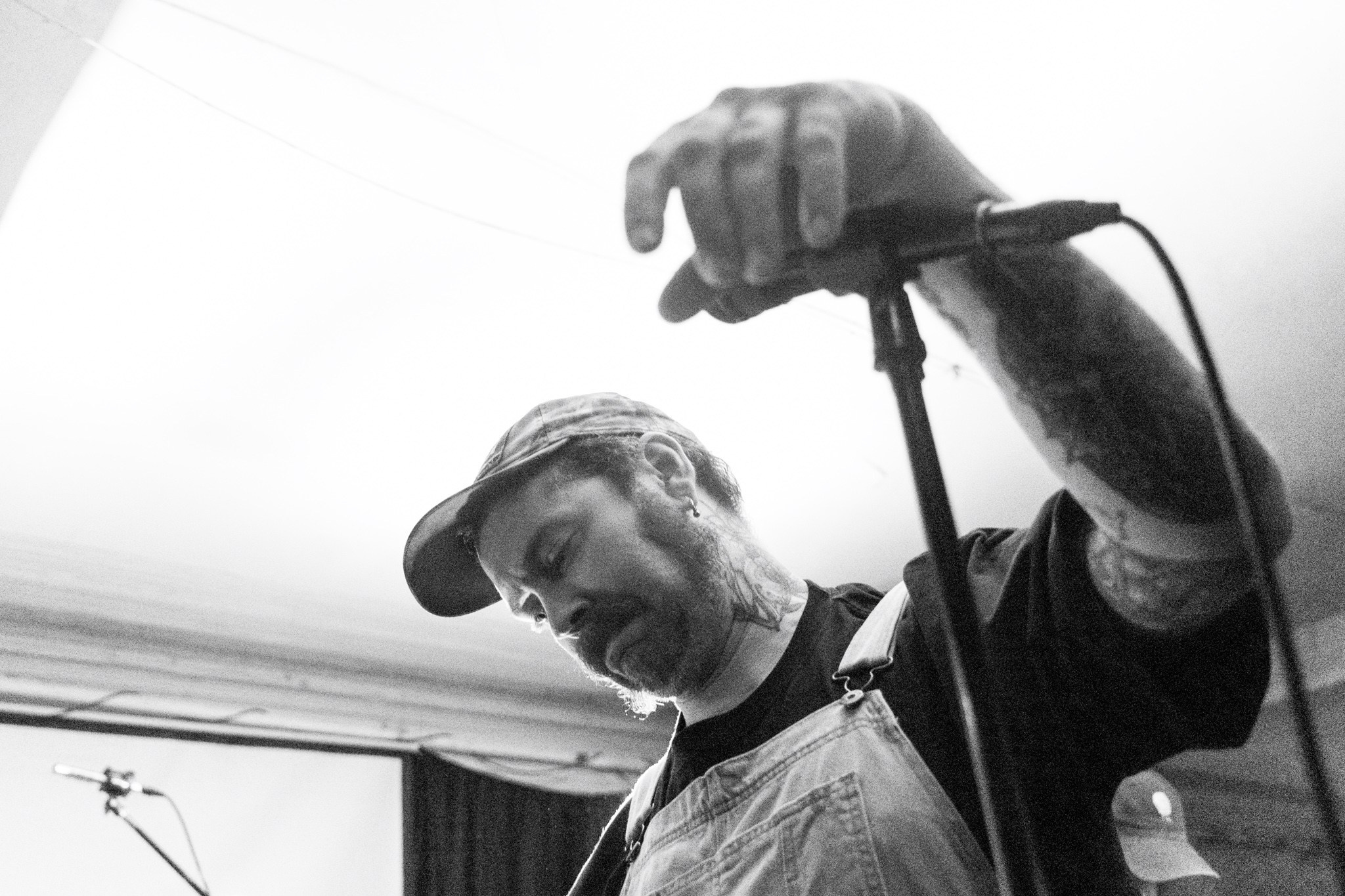 Змееед, Apodemus, 20.12.25, TAGO)))MAGO)))