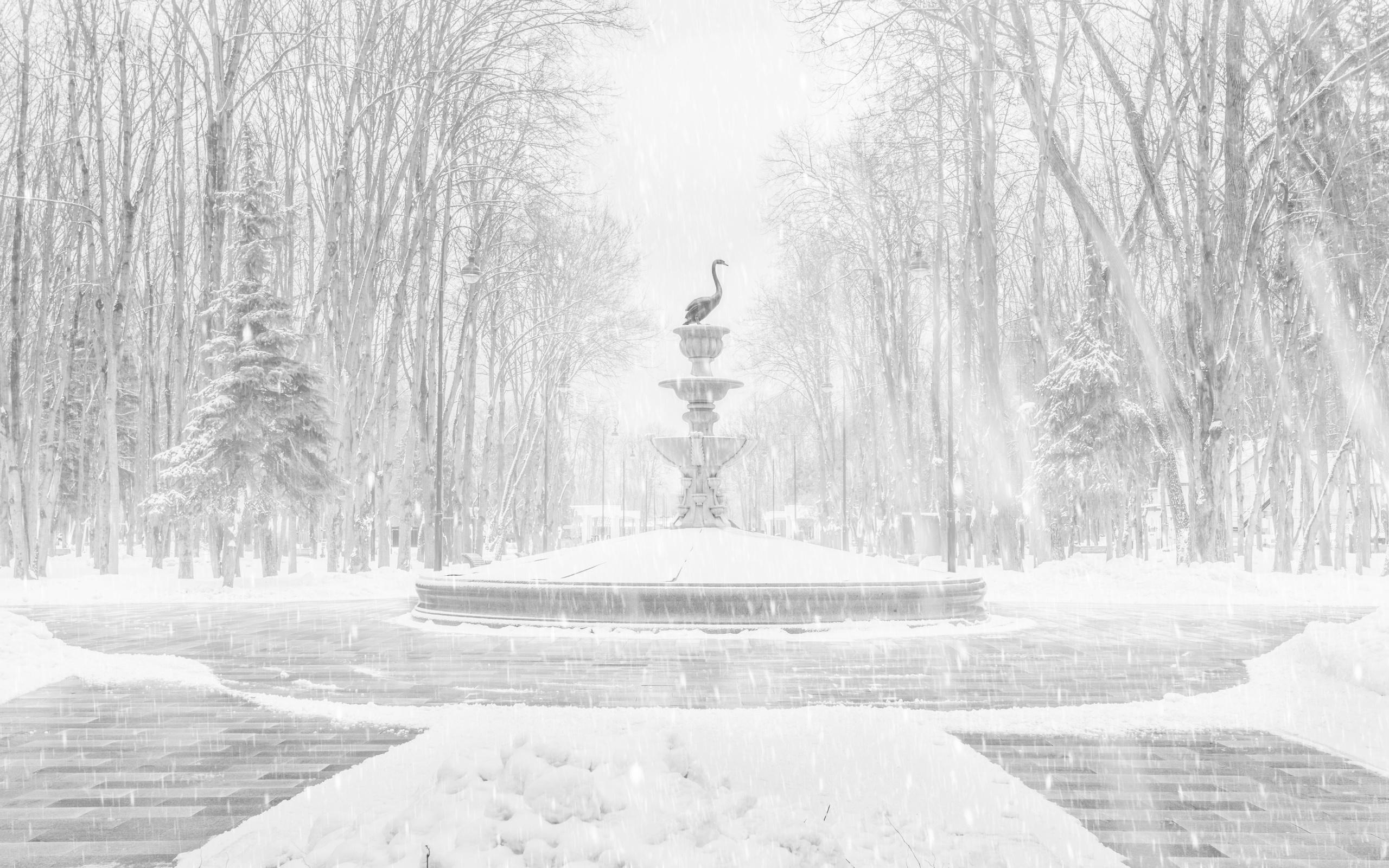 ПРОЕКТ «Метель на Речном». Фотограф в Москве Татьяна Макотра