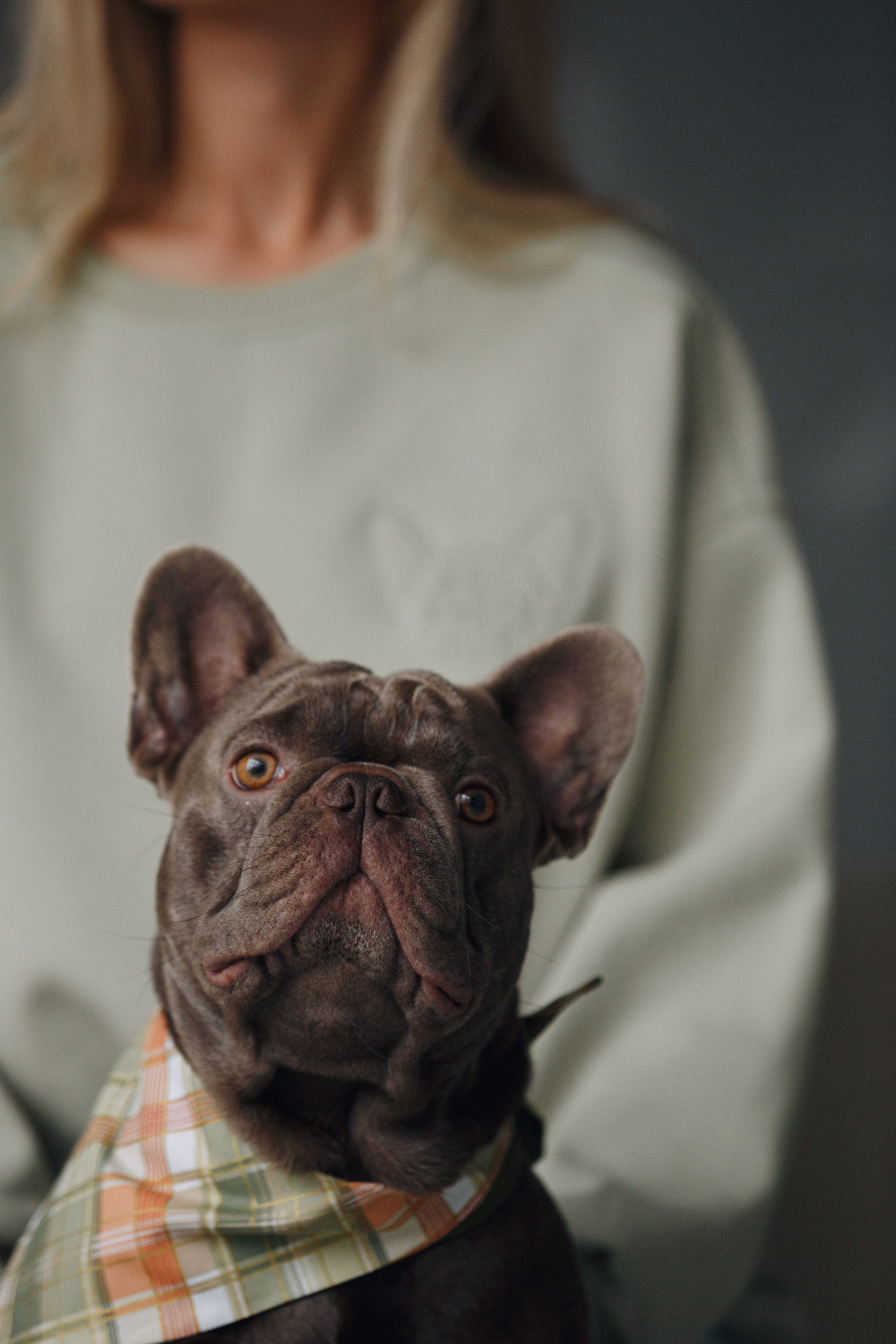 Wag'n'tails аксессуары для животных. Фотограф анималист Кристина Карпова, Москва