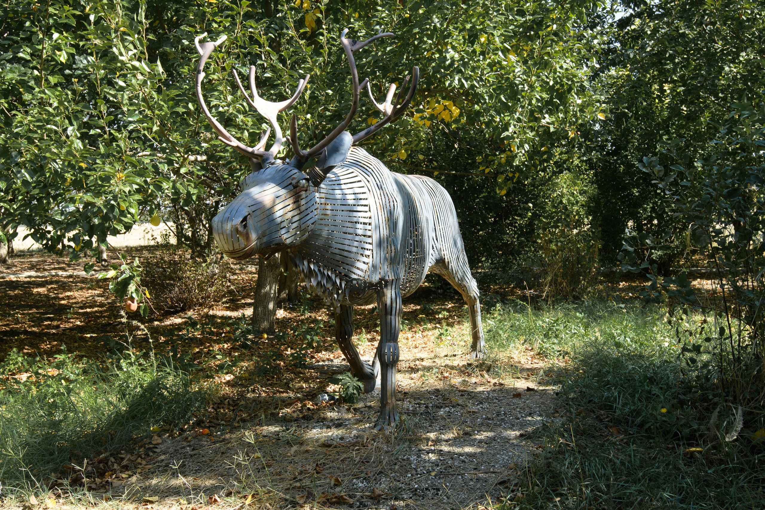Тихорецк. Профессиональная фотосъемка. Ростов-на-Дону