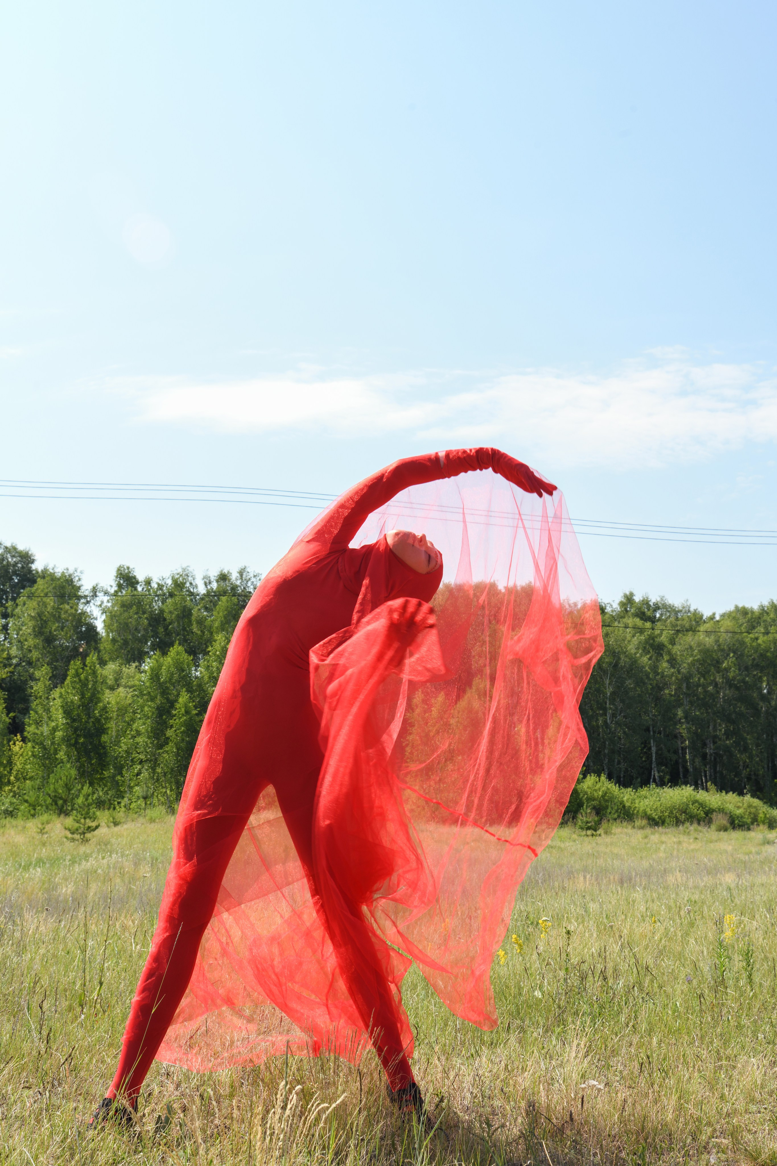 TERRA NOSTRA. Yulia Yurchevskaya | Art Director & Visual Visionary