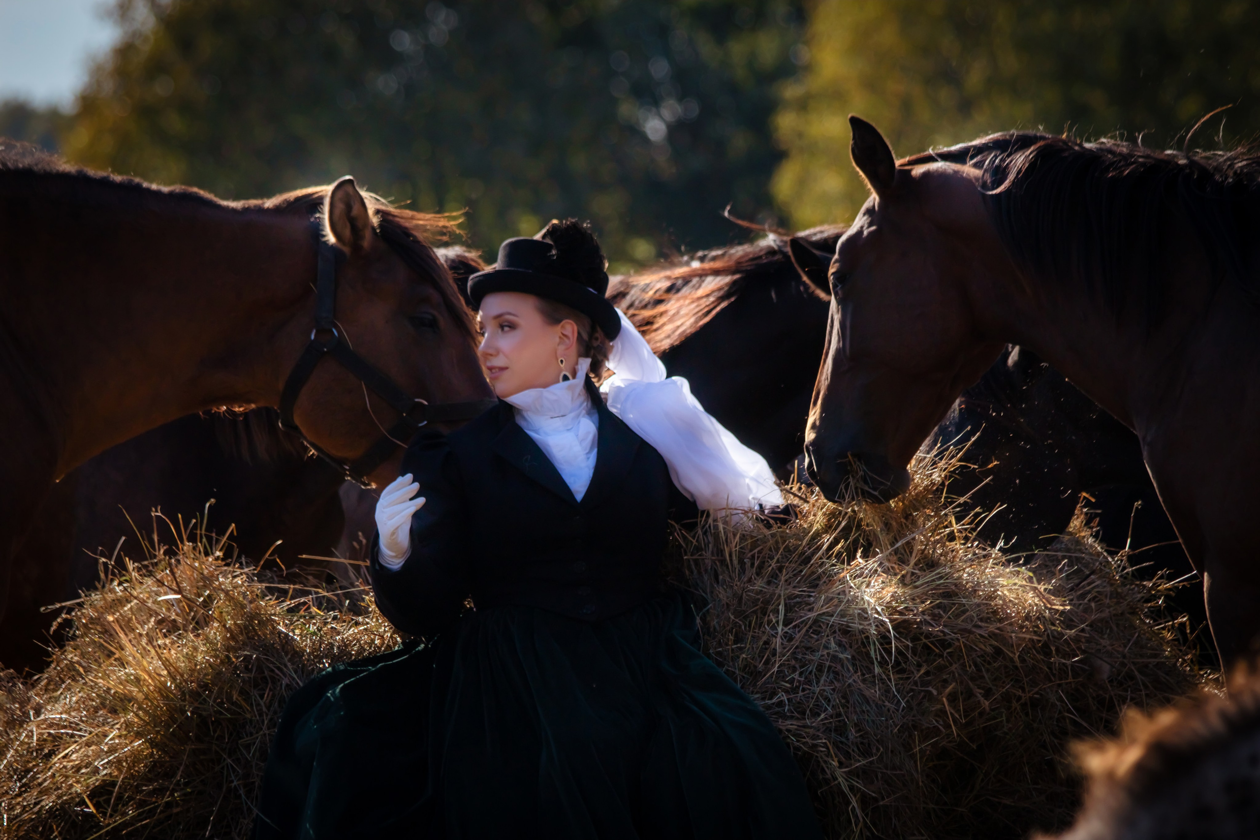 Фотосессия в Аванпост. Фотограф анималист — Тула, Москва