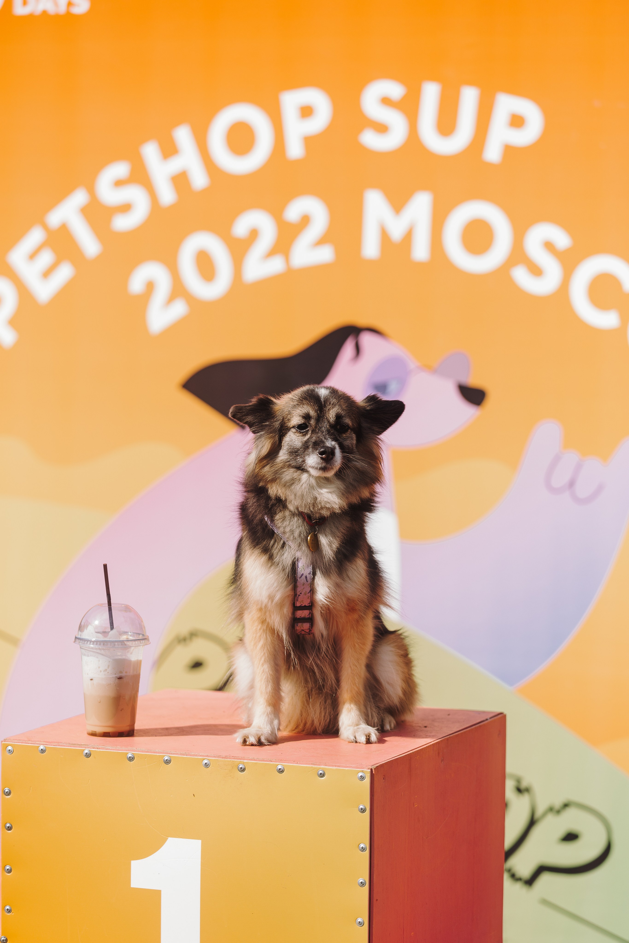 Petshop Sup day. Фотограф анималист Кристина Карпова, Москва