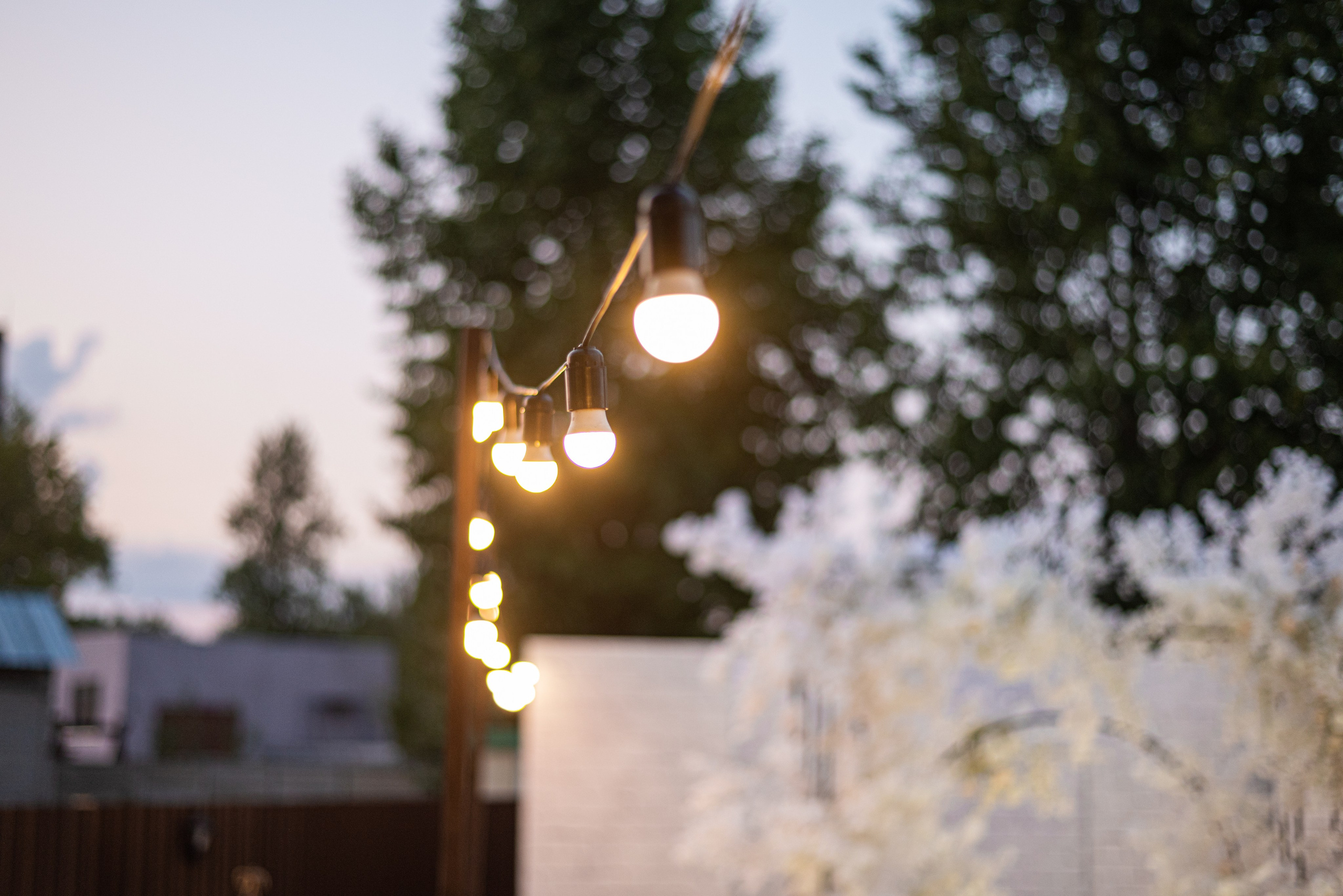 02.09.23. Свадебный и семейный фотограф Евгения Хомчановская