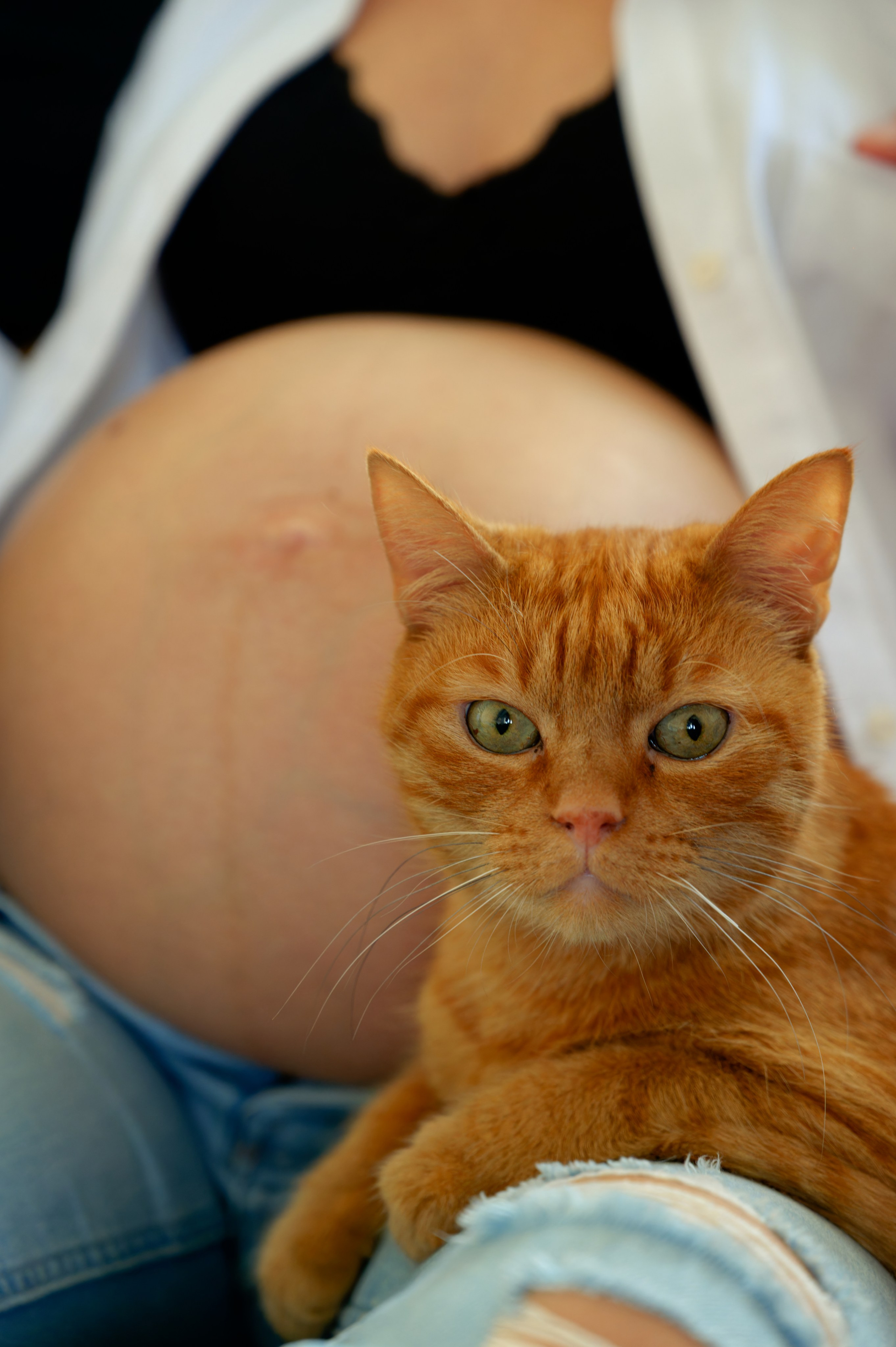 A&A prenegate. Photo & Video production, in Bishkek, Kyrgyzstan