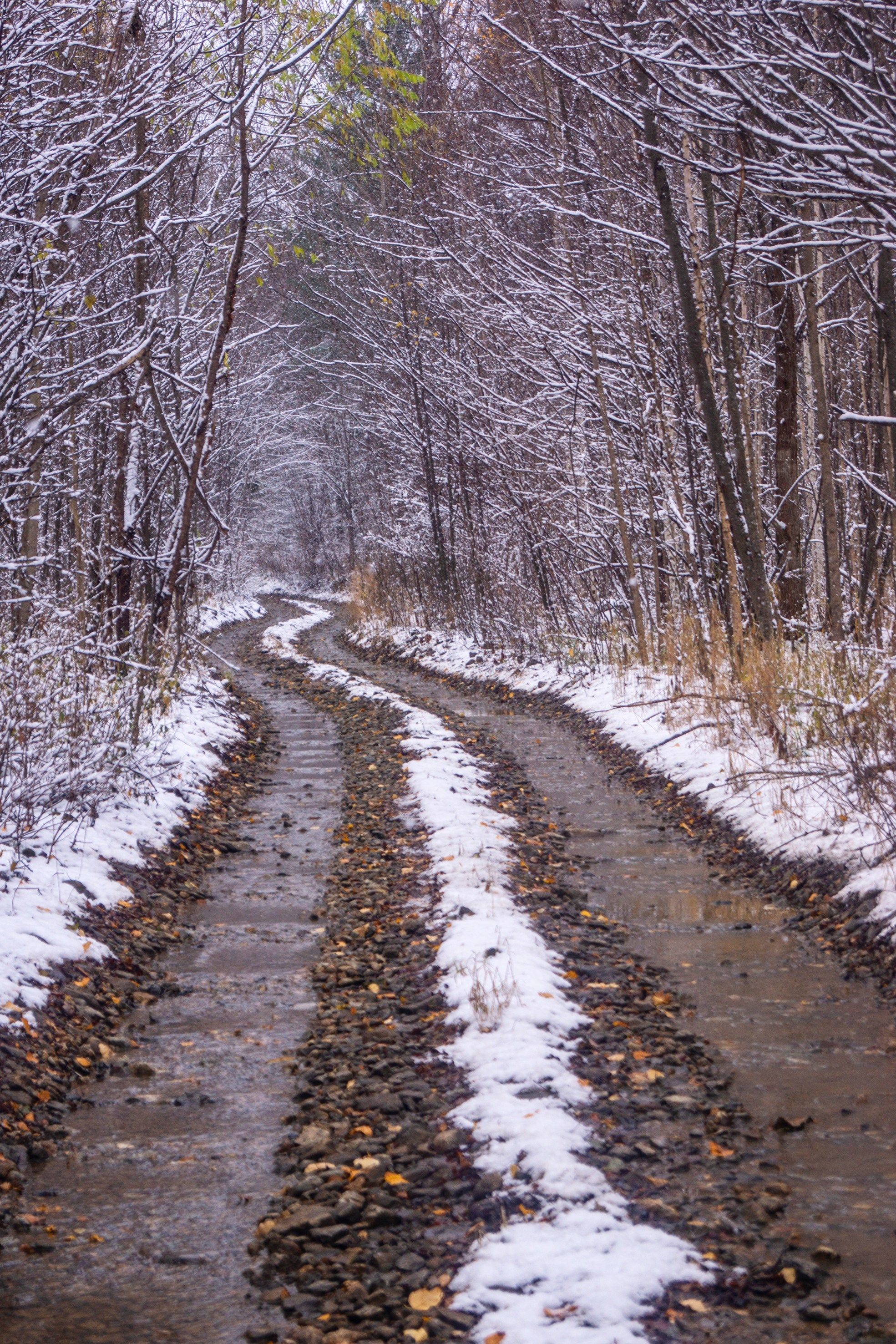 Природа Хабаровского края. Команда фотографов Кристины Ивановой