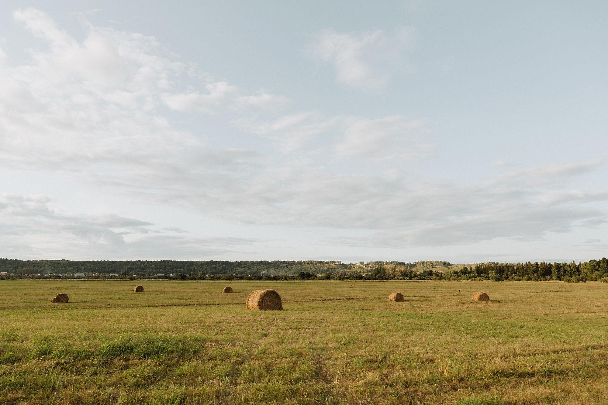 Вова, Валя и Кристина. Свадебный, love-story и семейный фотограф в Томске Радий Ринатович