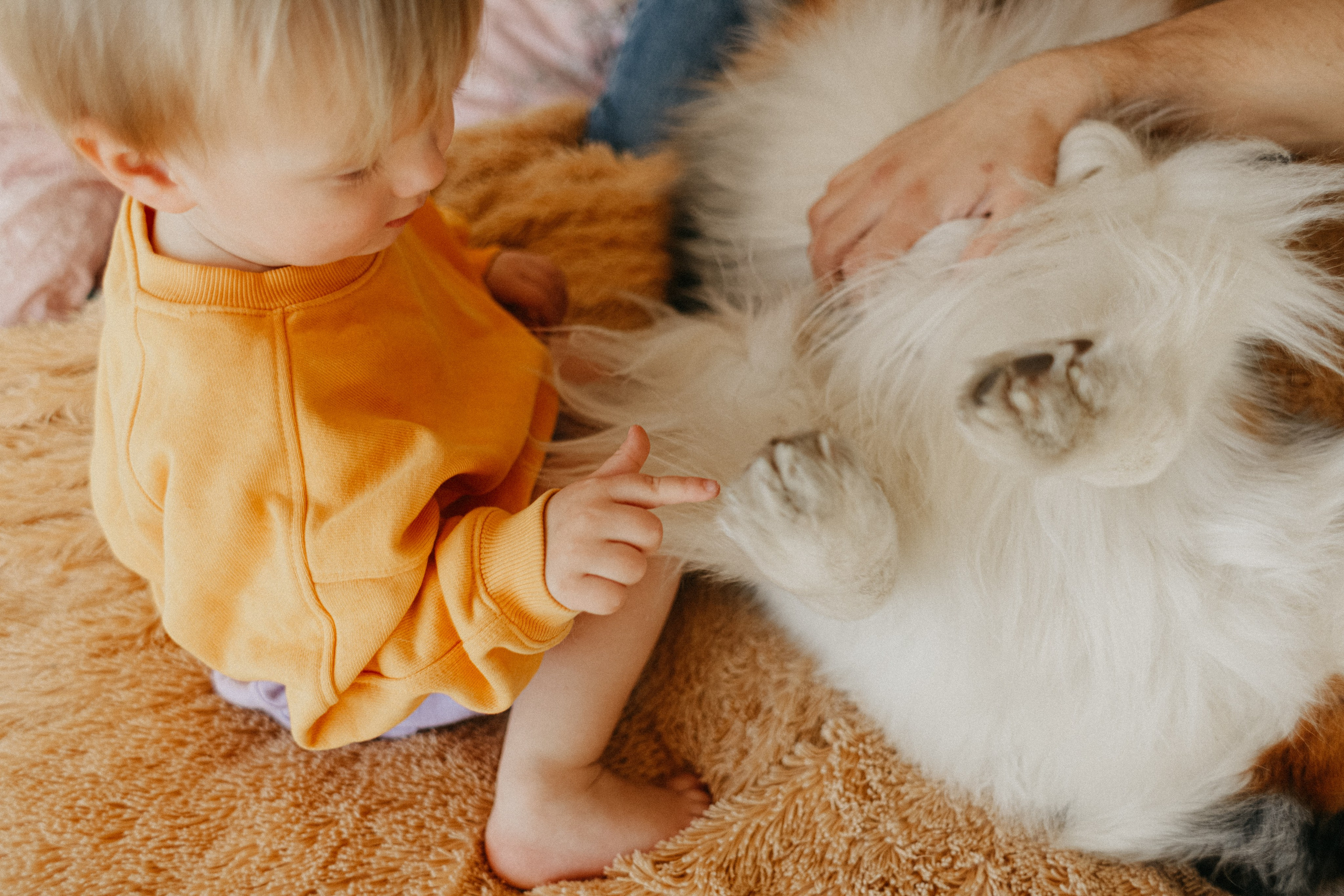 Ксения и семья. Фотограф Москва и Санкт-Петербург