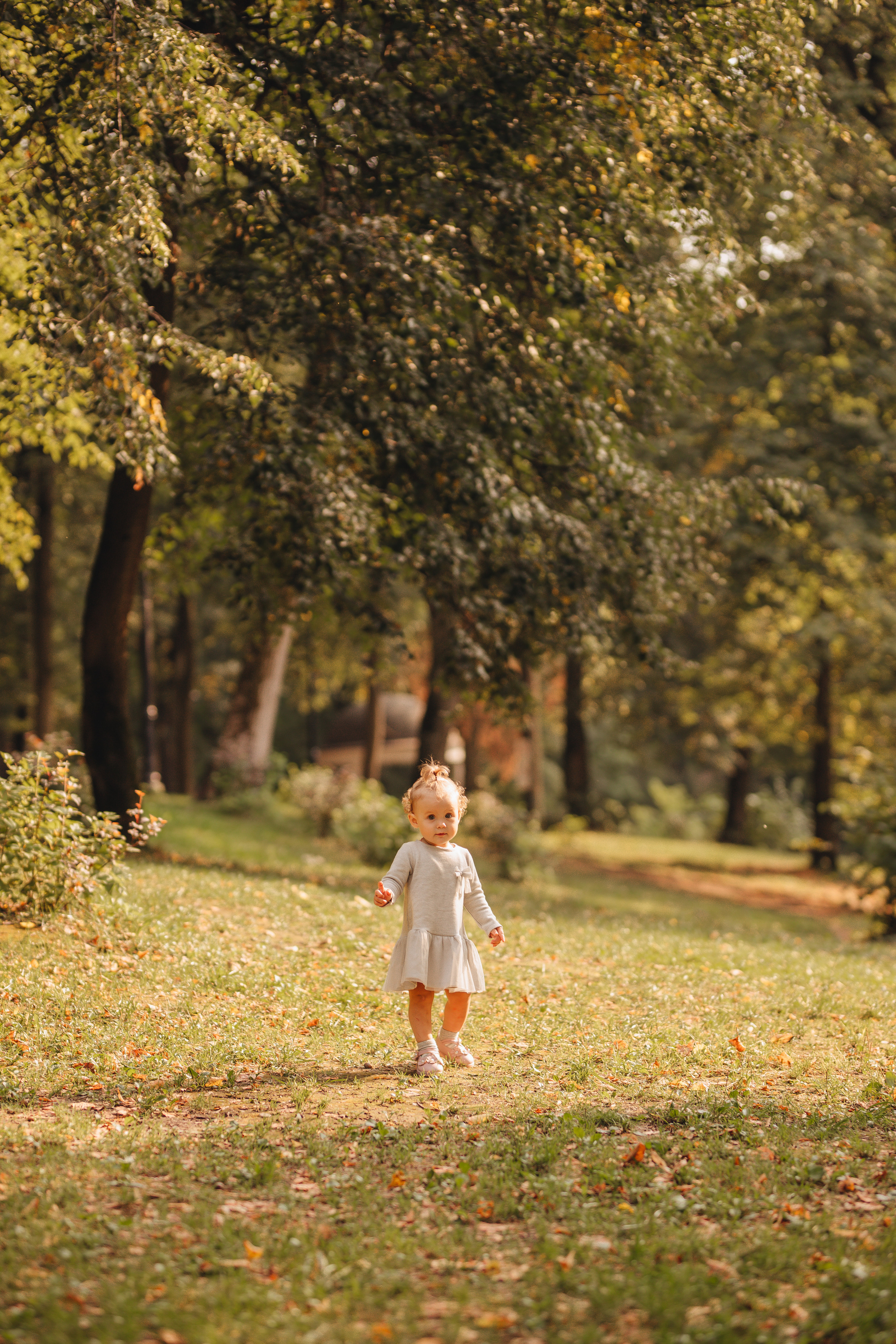Соня. Свадебный и семейный фотограф в Туле и области Маша Костина