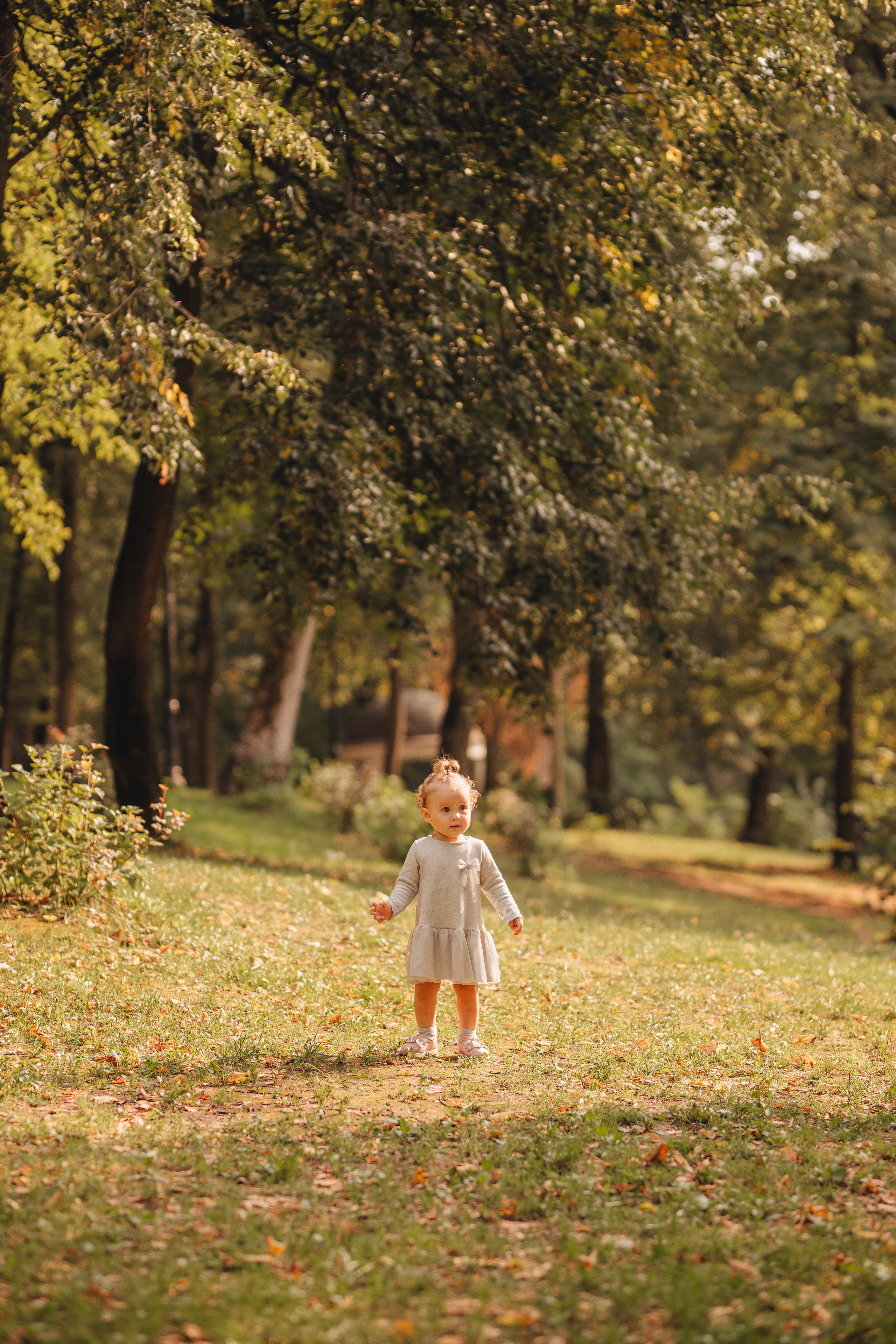 Соня. Свадебный и семейный фотограф в Туле и области Маша Костина