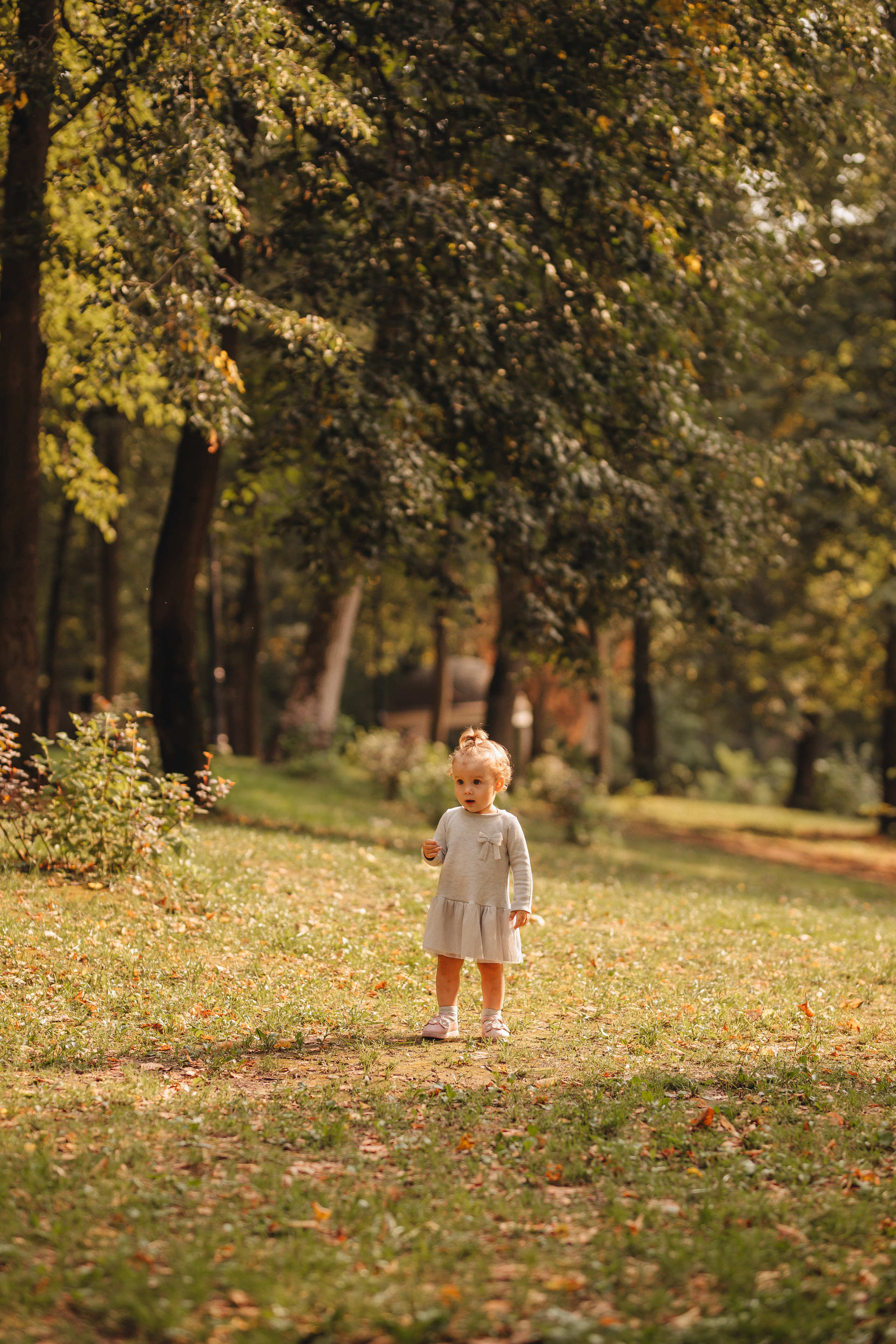 Соня. Свадебный и семейный фотограф в Туле и области Маша Костина