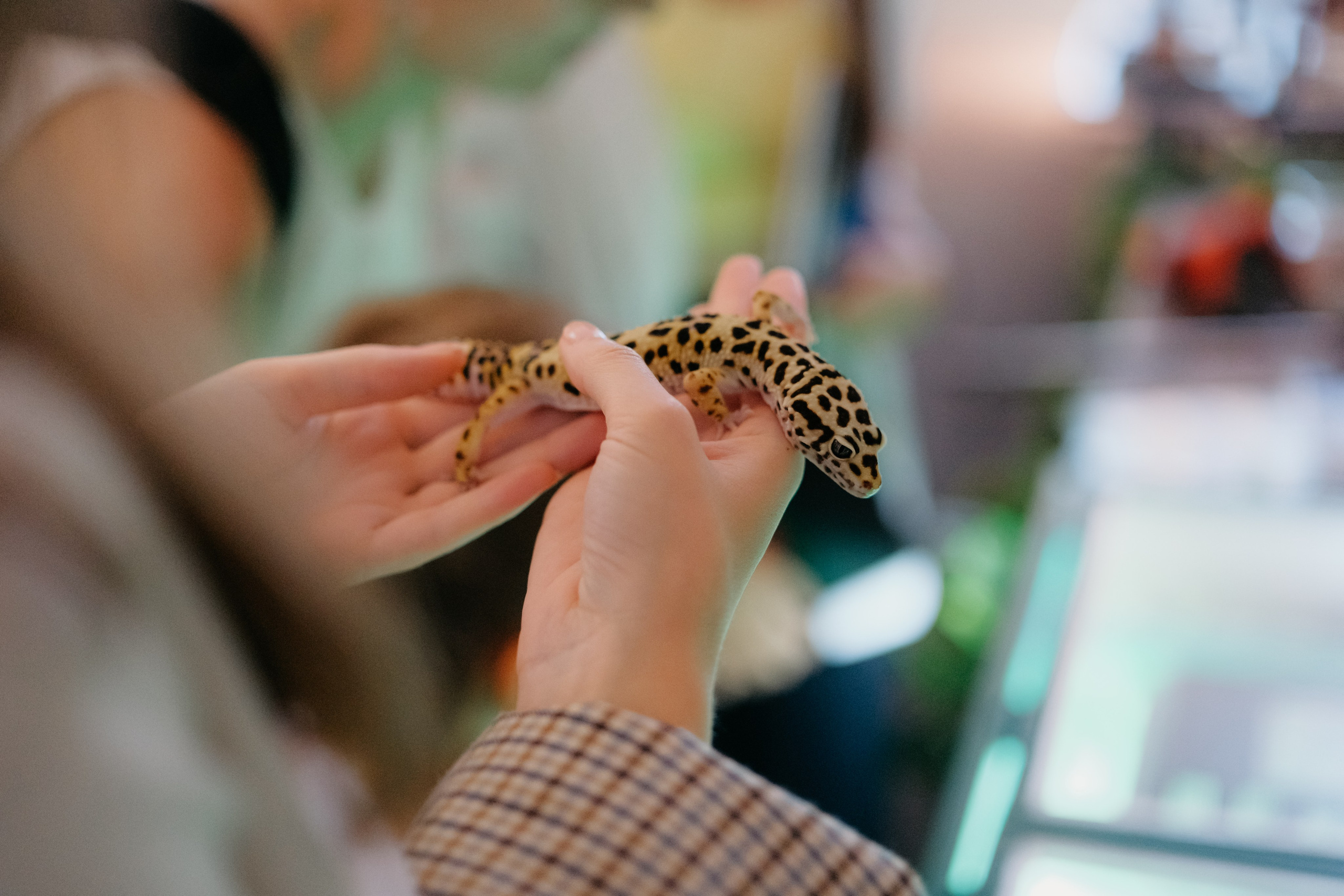 ВНауке. Фотограф в Москве Дмитрий Рогов