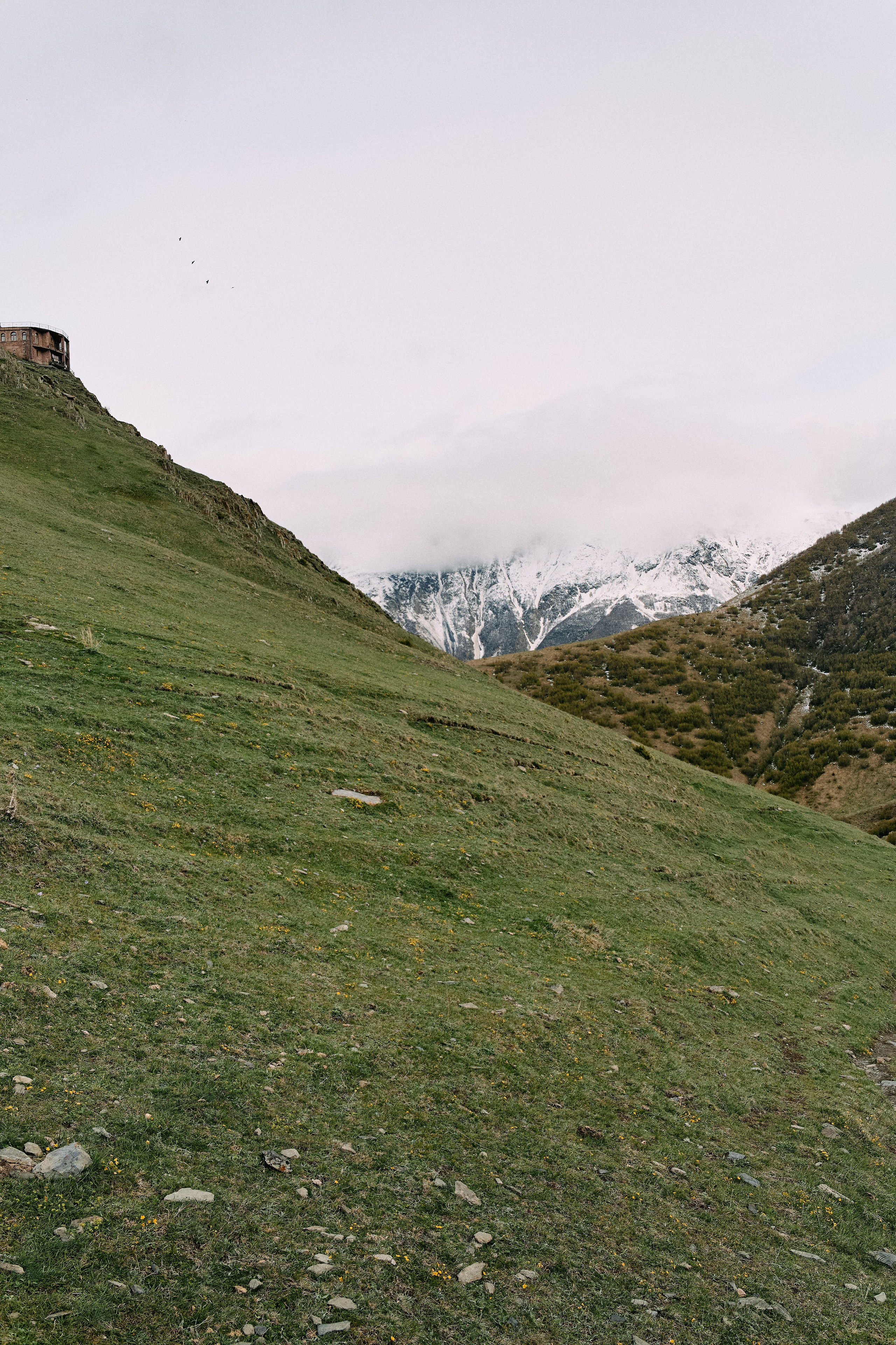 Грузия. Профессиональный Фотограф во Владимире, в Москве и в Суздале — Полина Романычева
