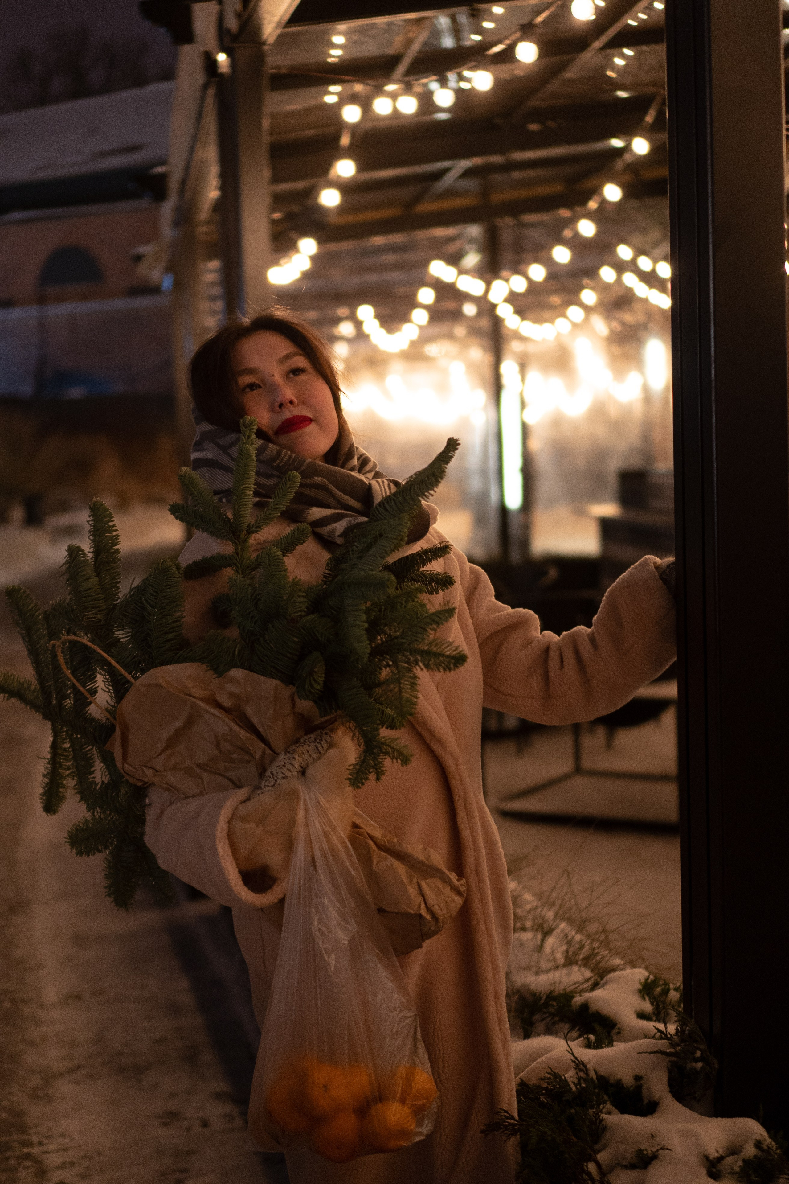 Зимняя сказка в Новой Голандии. Профессиональный фотограф, Санкт-Петербург — Виктория Богомолова