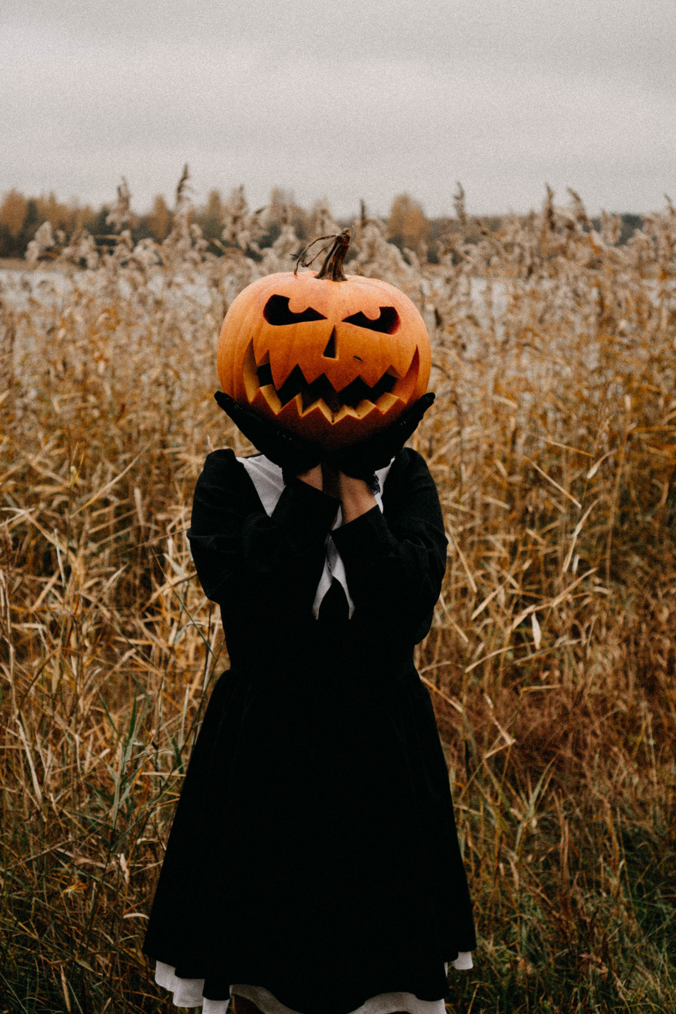 Осеняя. Профессиональный фотограф, Санкт-Петербург — Виктория Богомолова