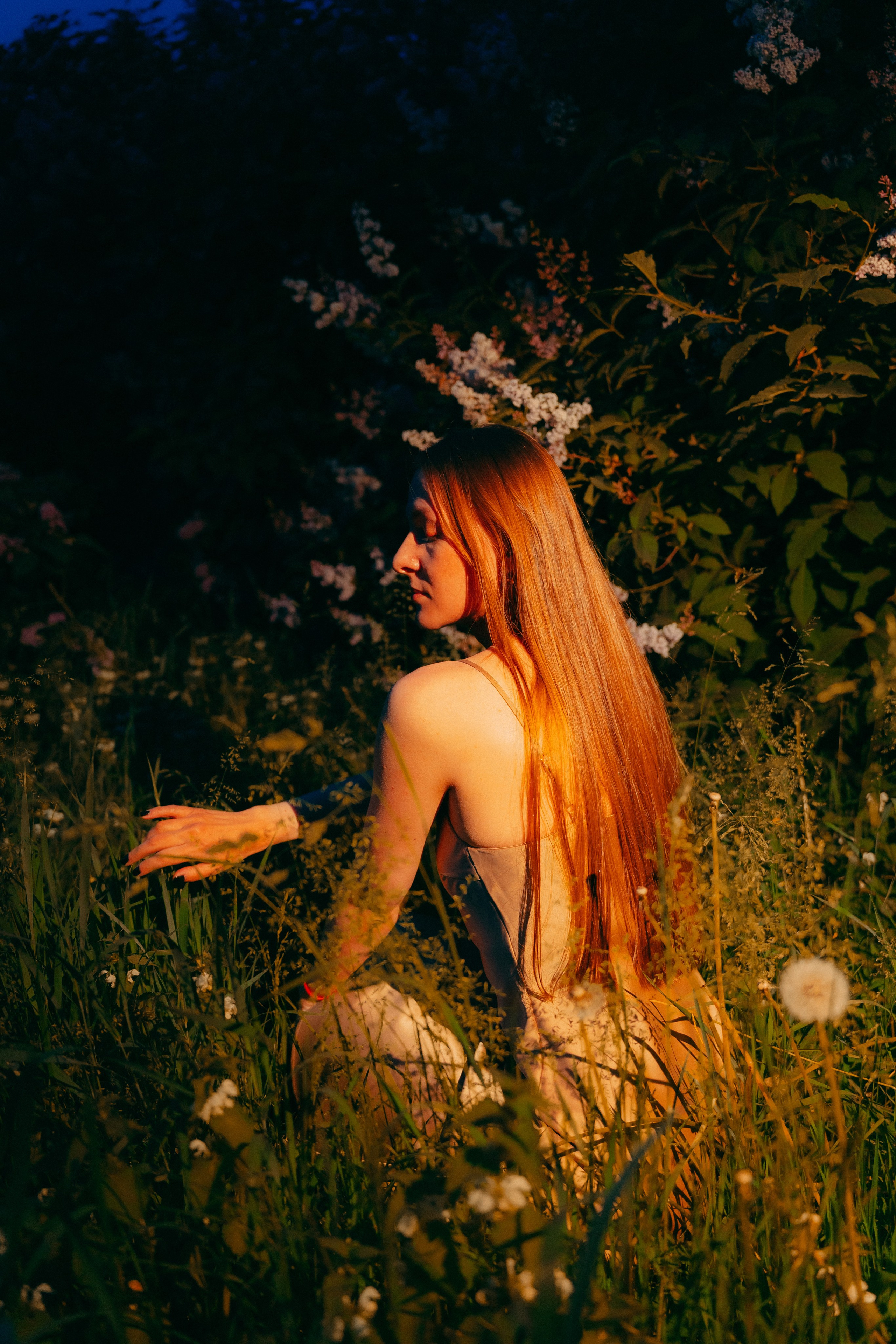 Сиреневый сад. Фотограф Москва