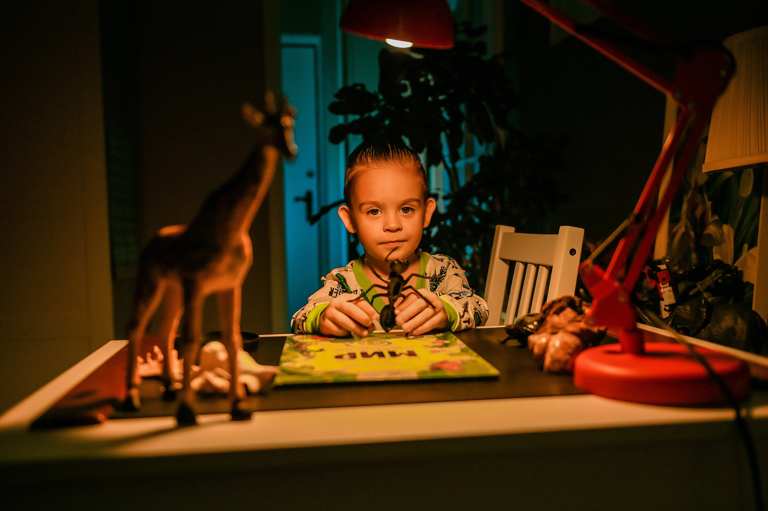 Детская домашняя кабинет натуралиста. Свадебный, семейный, детский, контент фотограф в Омске Максим Ильин