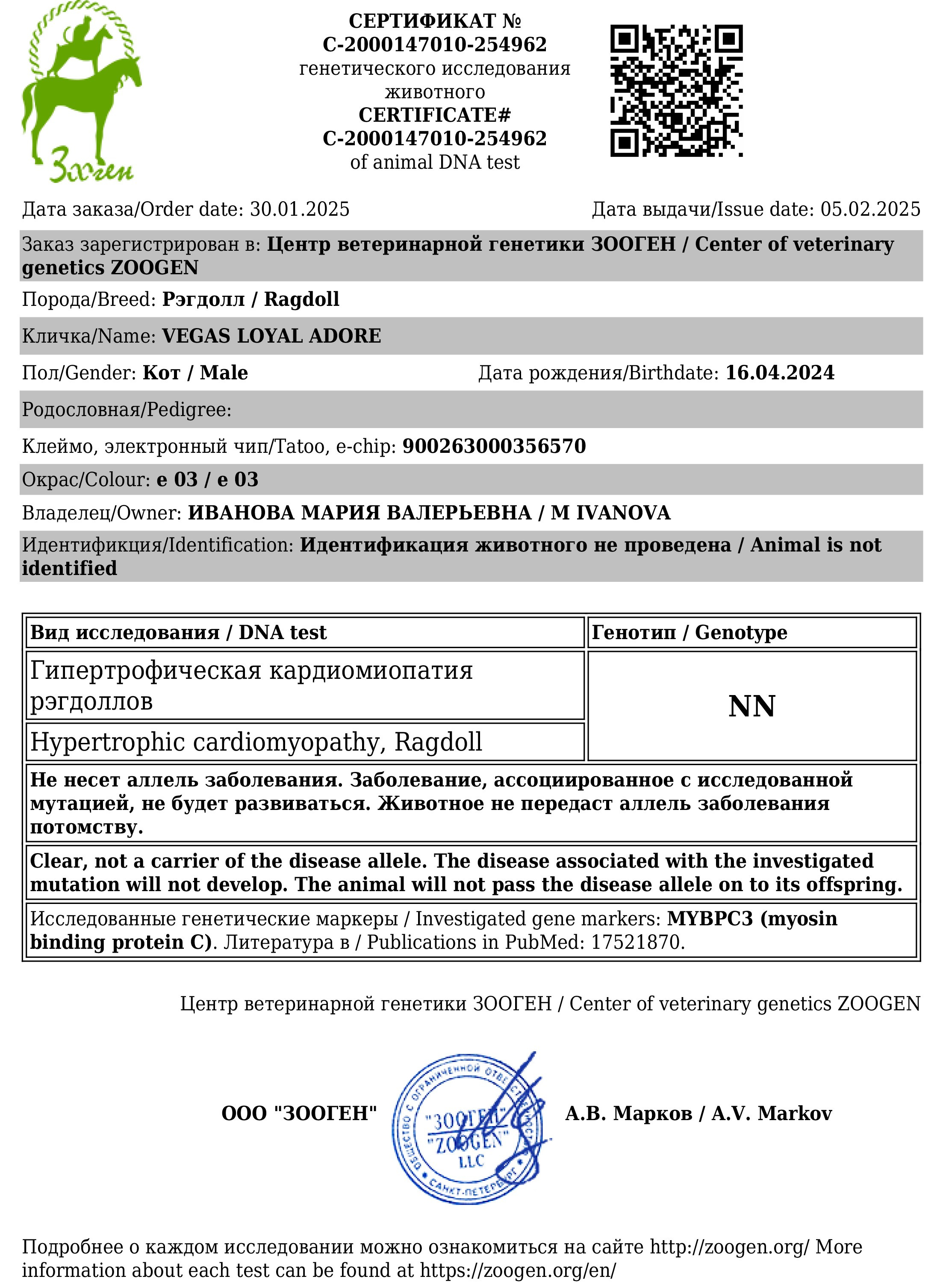 Документы производителей Loyal Adore. Питомник рэгдолл Loyal Adore