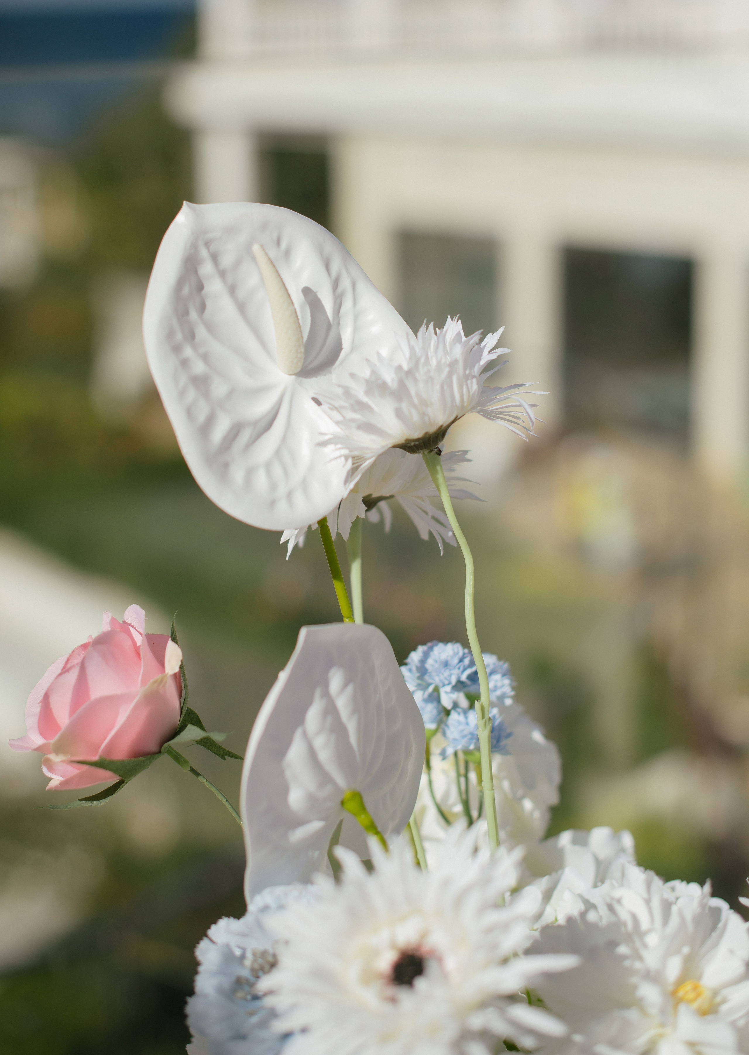 Влад и Лиза (г.Севастополь). Свадебный, женский, семейный фотограф в Севастополе Юлия Мошенко