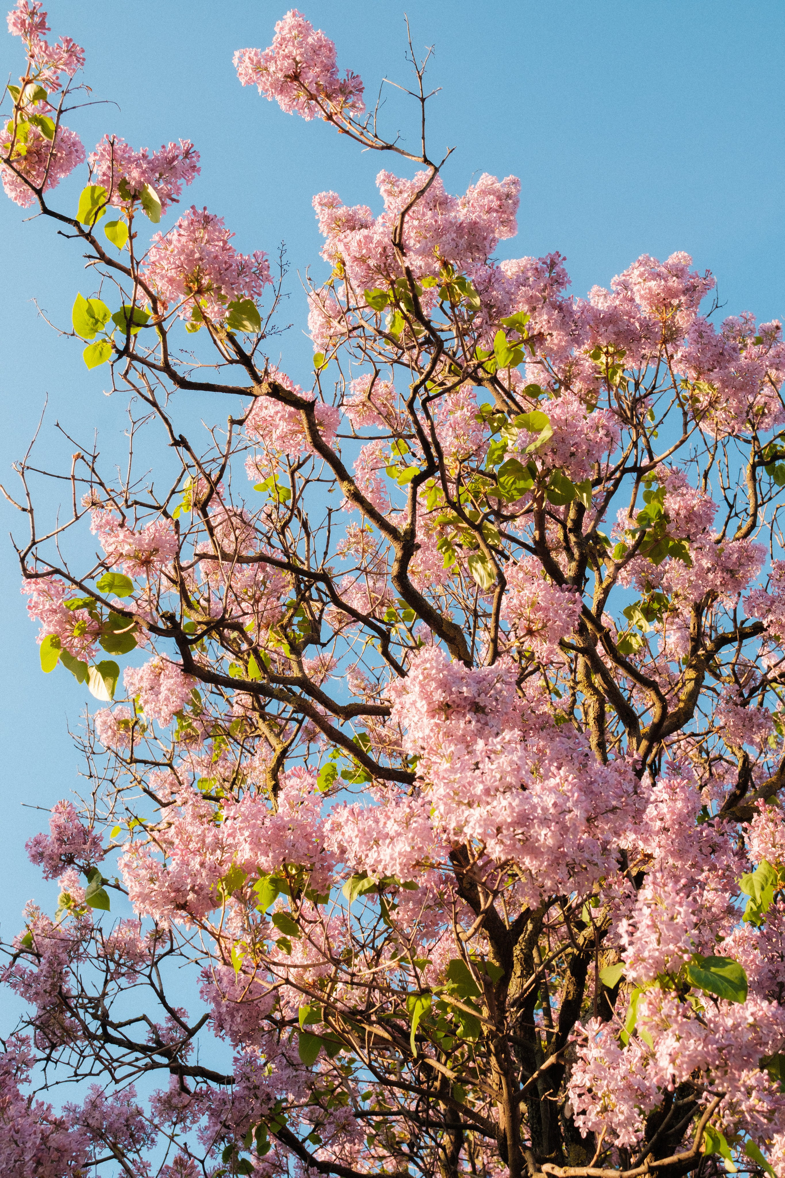 Утром на марсовом поле. Михаил Долганов