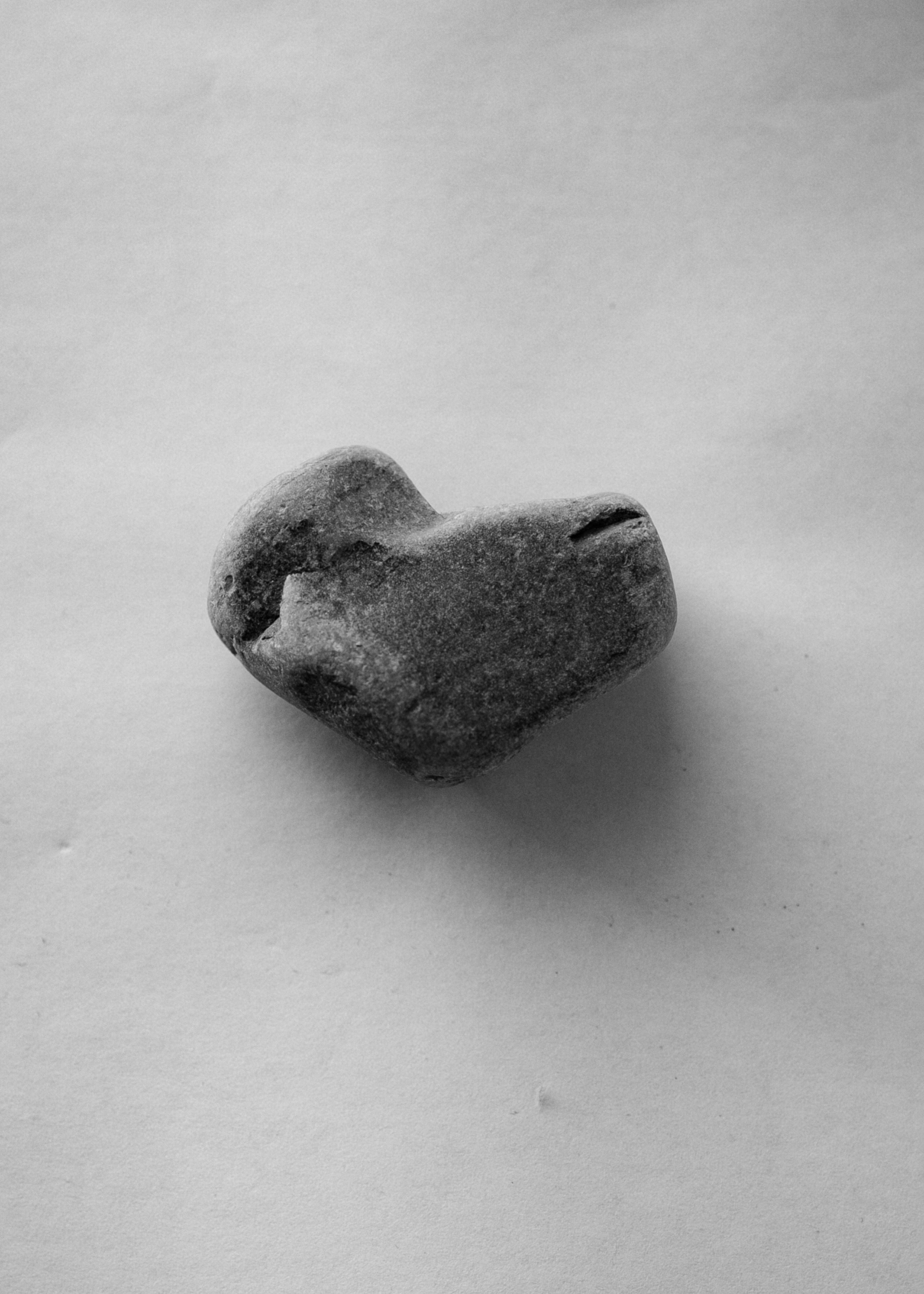 Фотограф Олеся Музанова