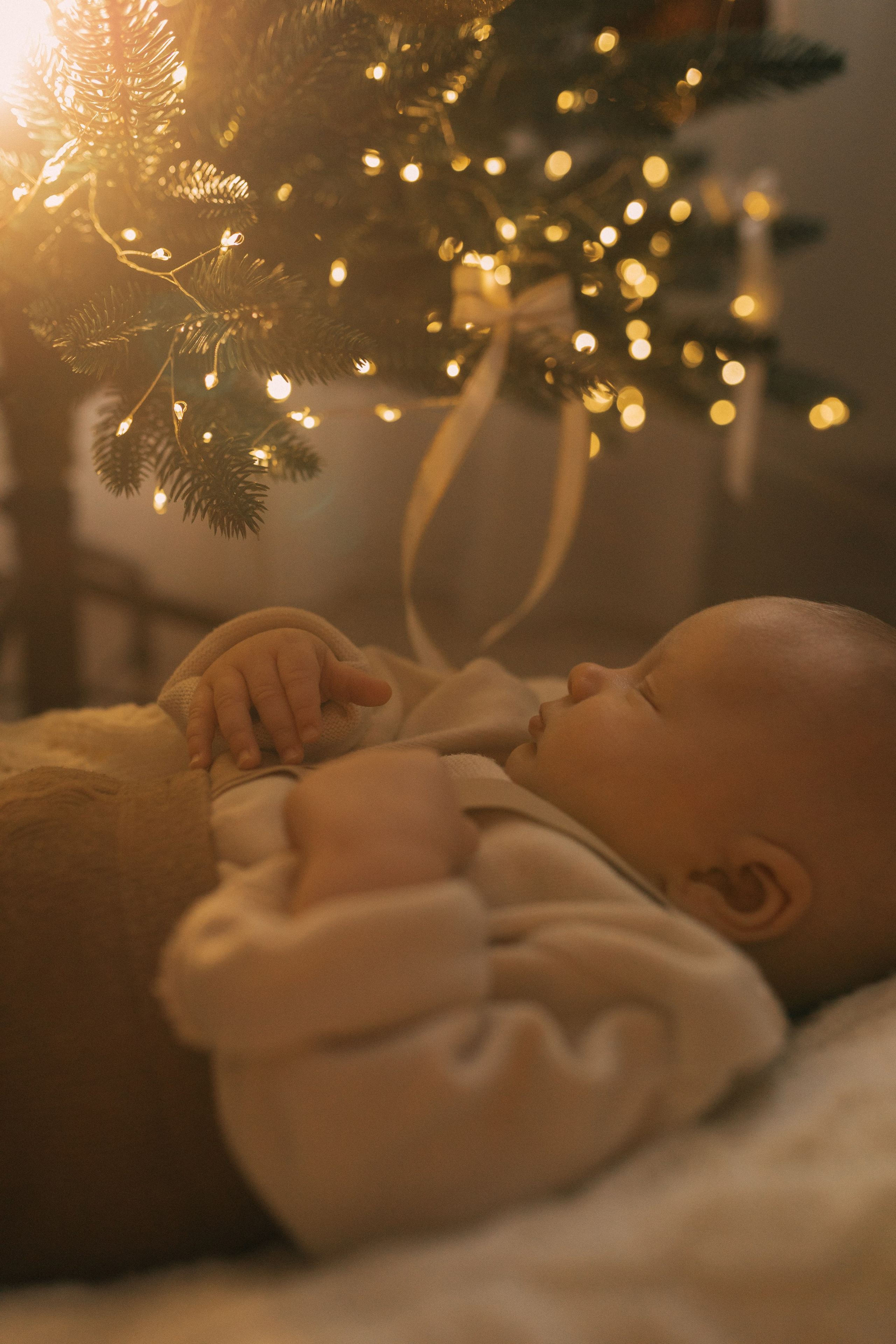 Первое Рождество Ярослава. Семейный фотограф в Новороссийске и Анапе Александра Яковлева