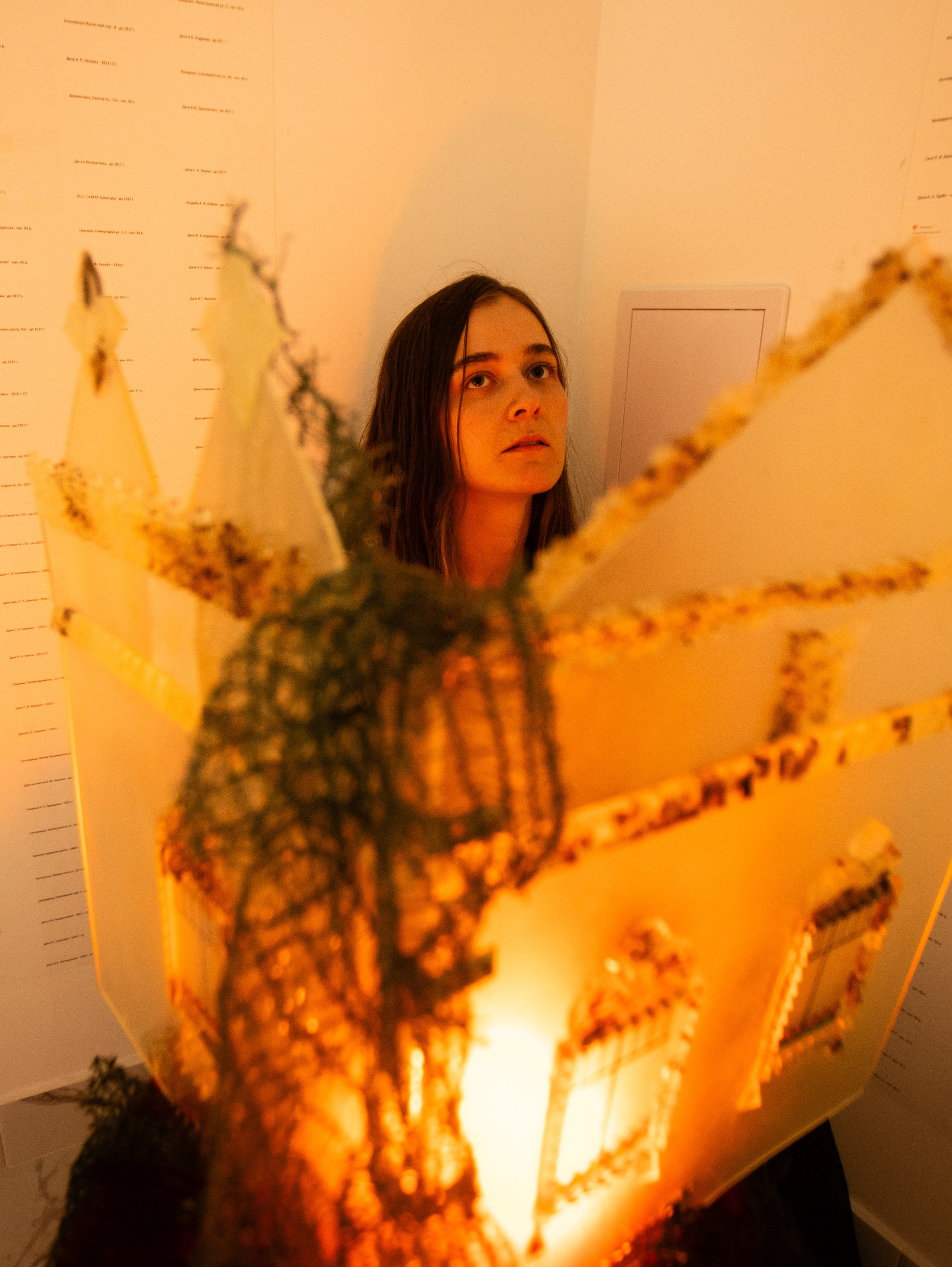 Выставка Ирины Иониной 2024. Фотограф Мария Немм