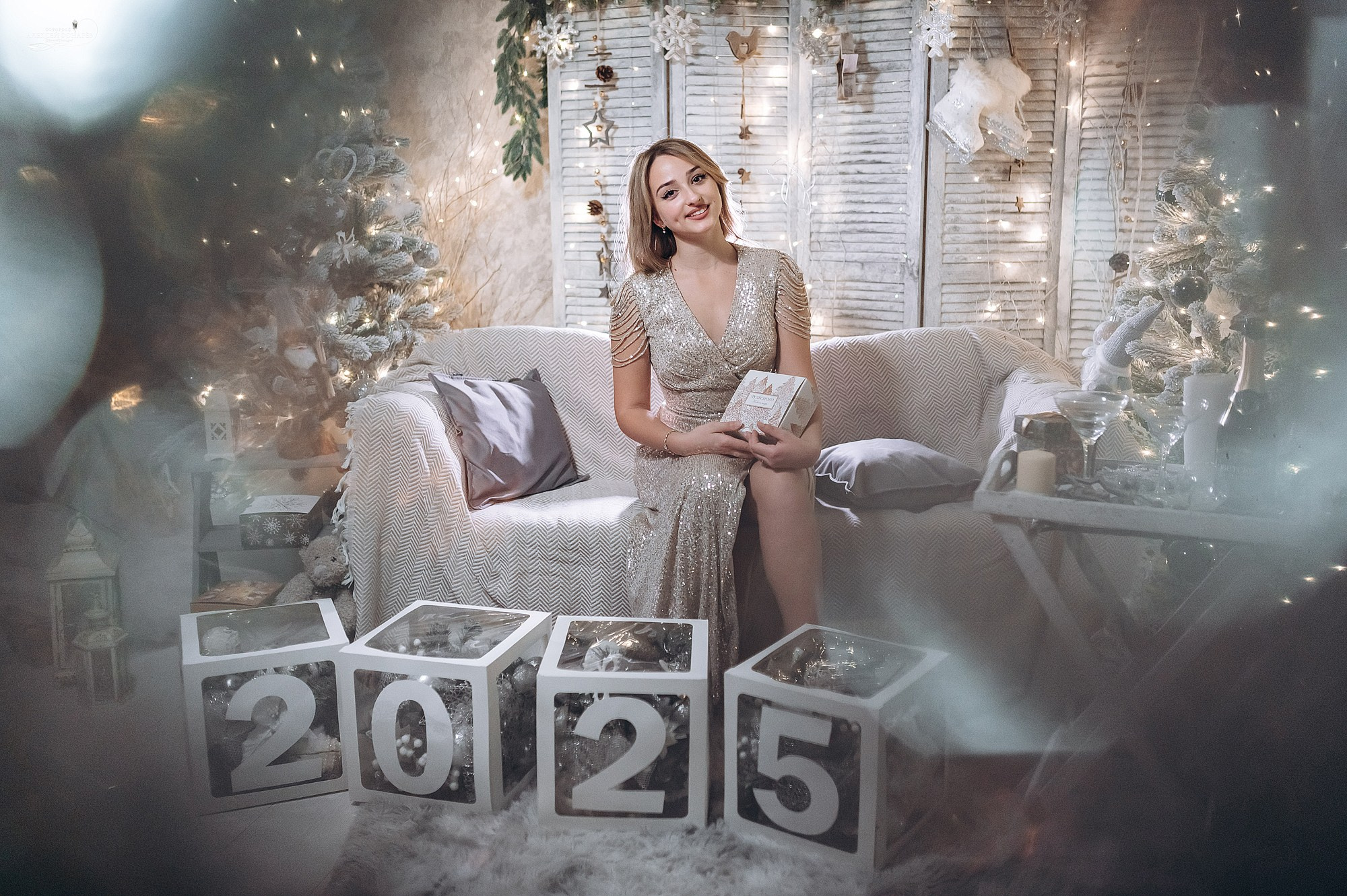 Новогодняя фотостудия в Дубне Кимрах Талдоме. Свадебный фотограф в Дубне Алексей Фонарёв