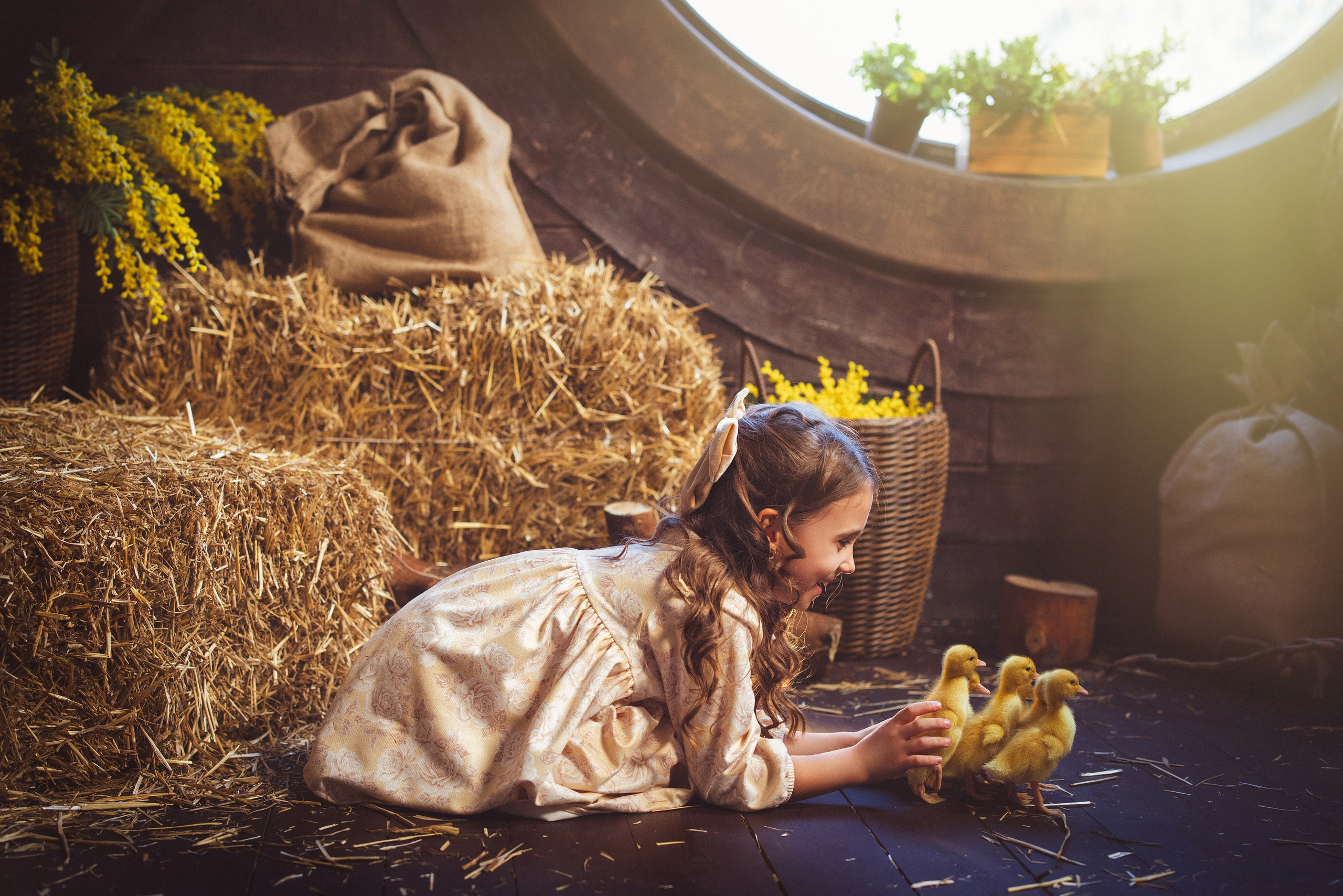 Пасхальный фотопроект с козочкой и утятами, в фотостудии «Эль» 2024 г. Семейный и детский фотограф в Краснодаре Анна Трашкова