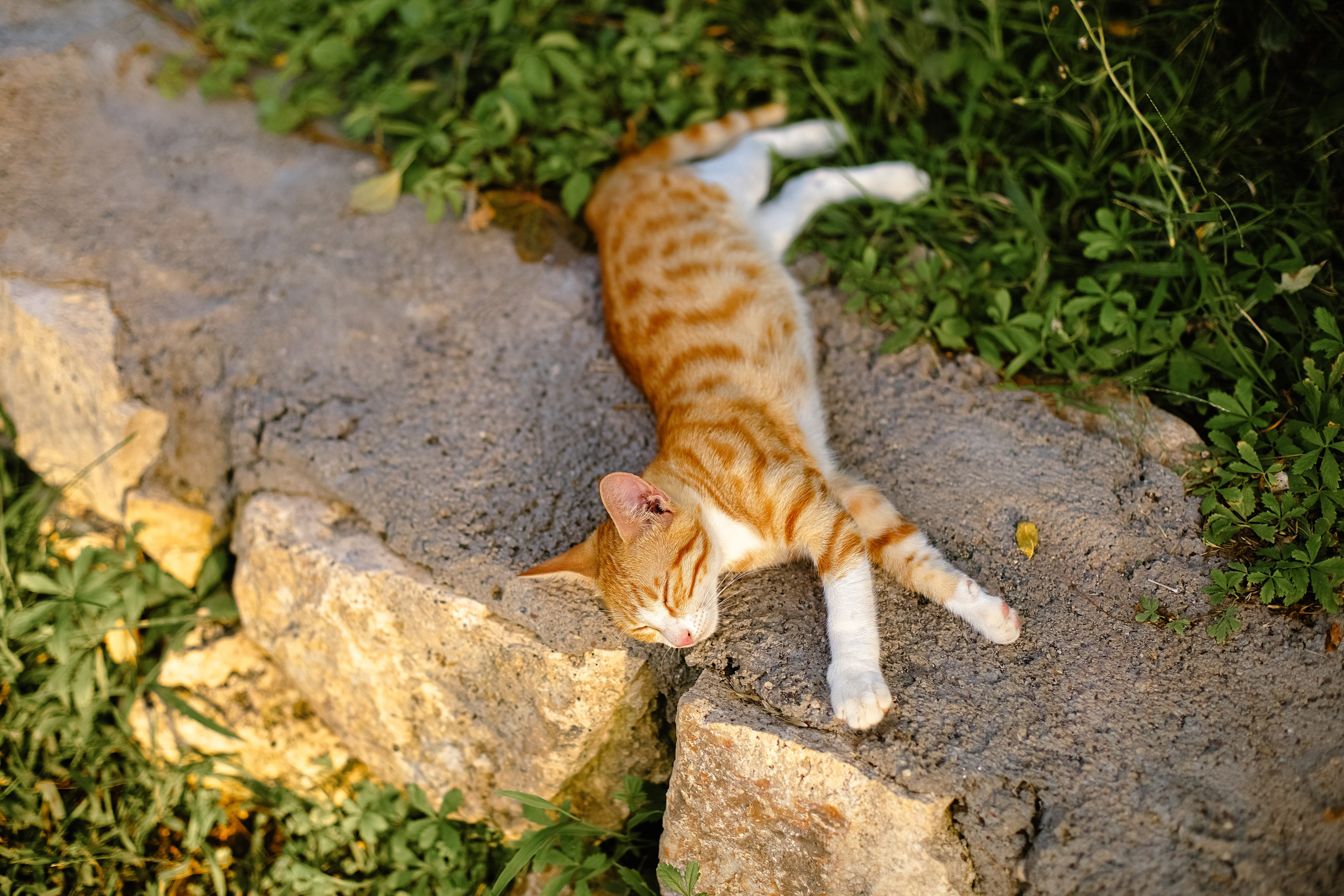 Турция, Кемер. Свадебный и семейный фотограф/видеограф в Краснодаре Наталья Осинская
