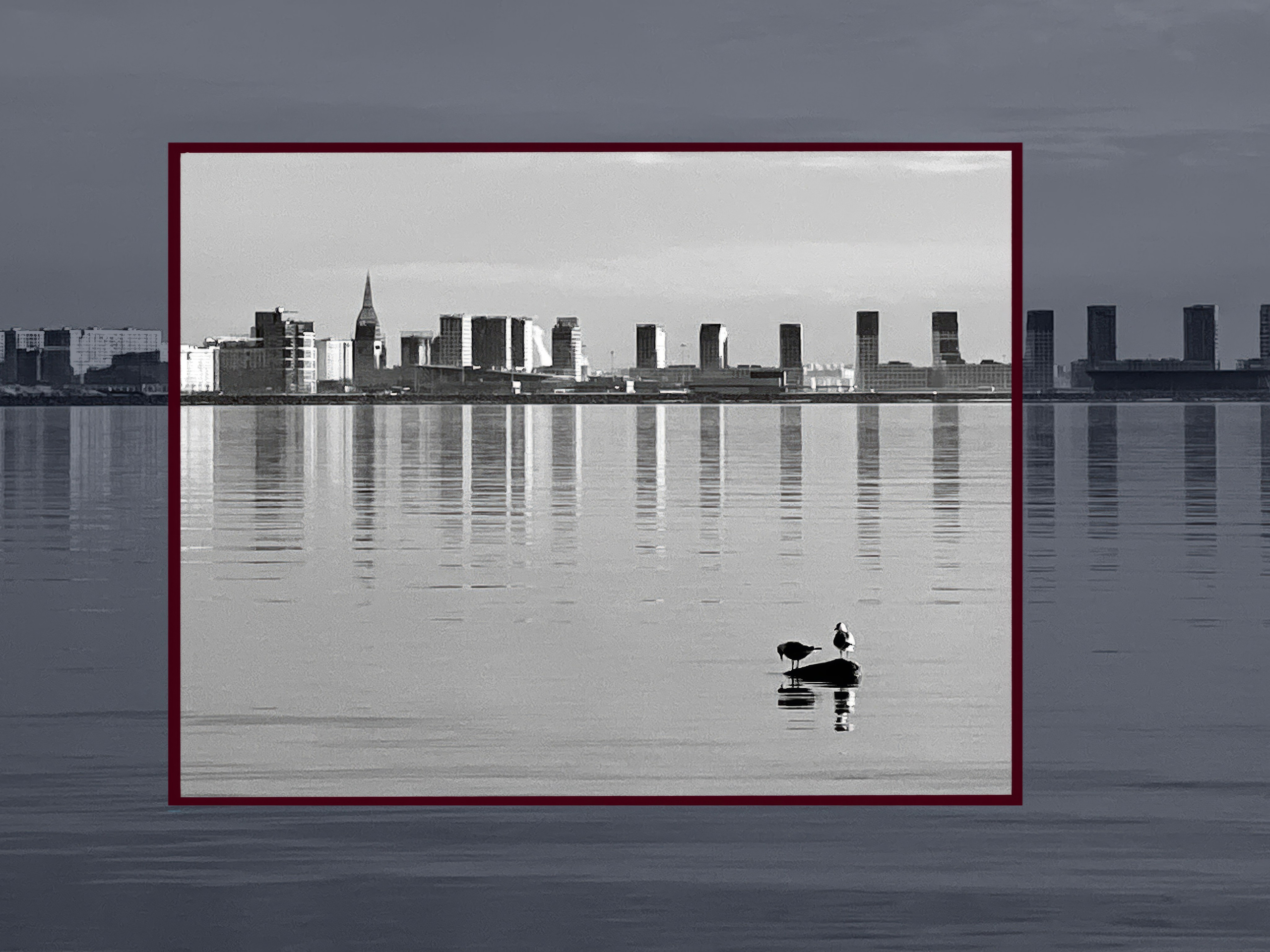 Zoom — авторская фотография Ма. Ма