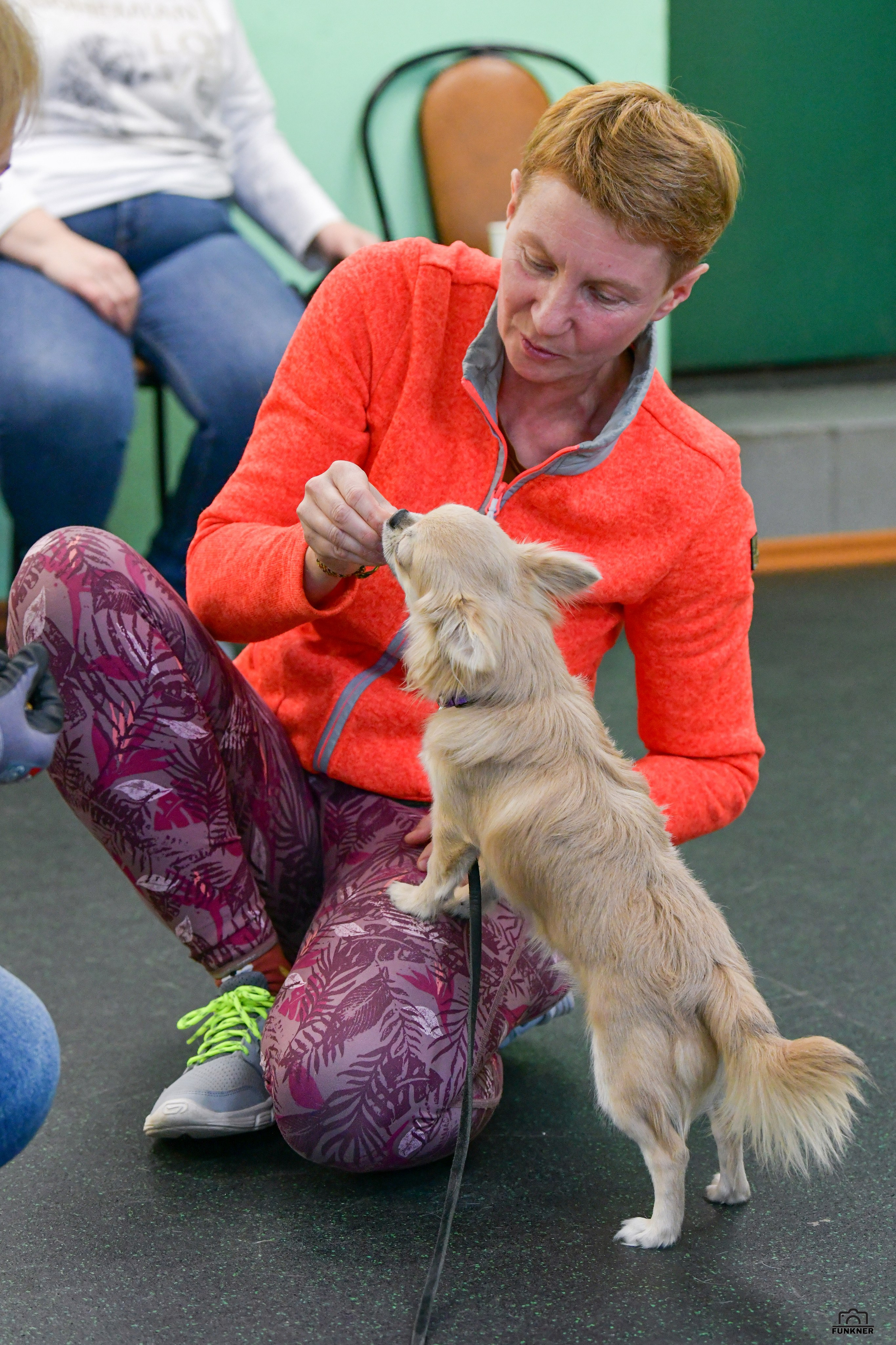 Кинологический клуб «Бодрый хвост». Свой взгляд через объектив