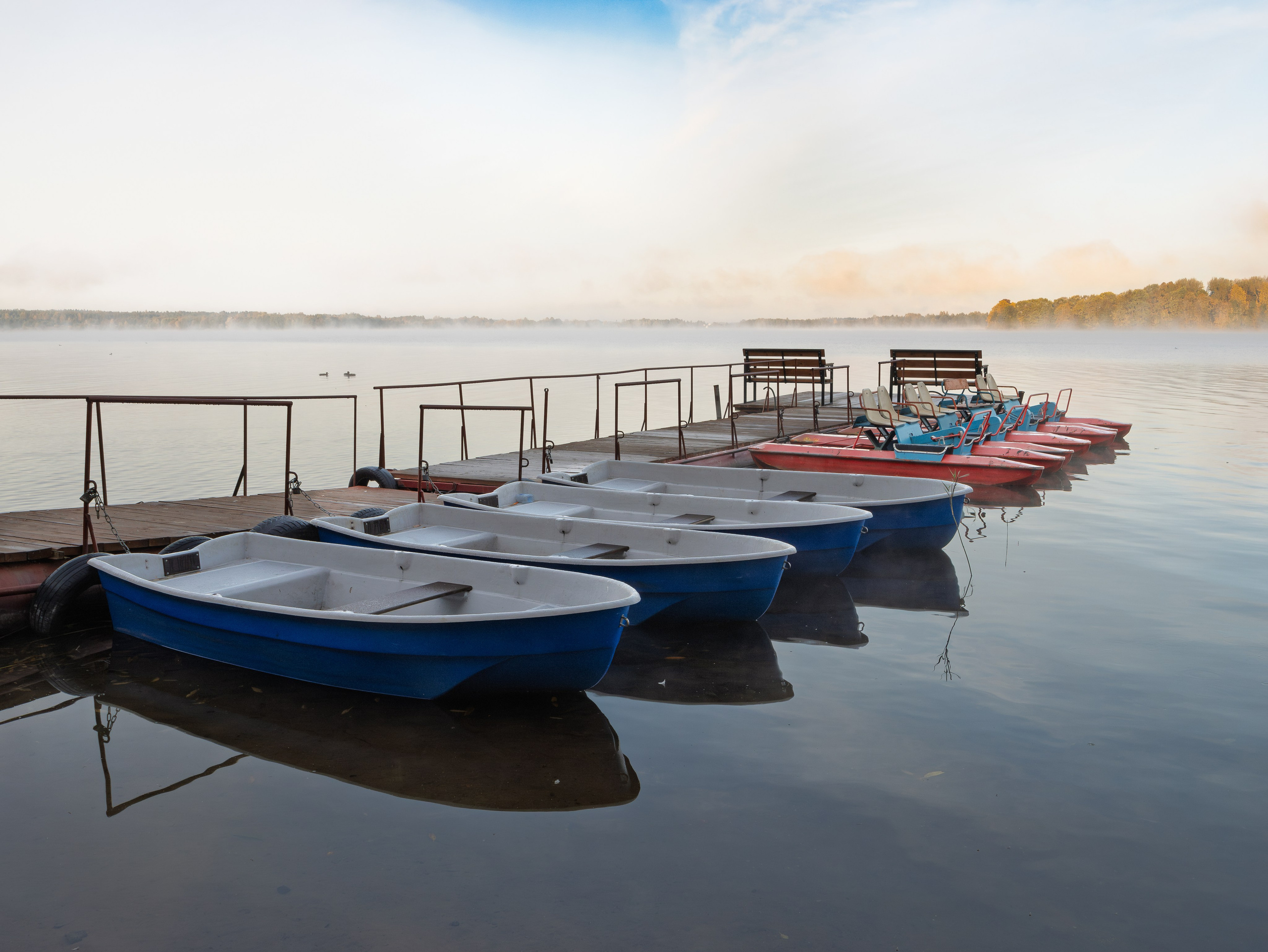 Голубые озера, Псковская область. Октябрь 2024. Фотограф Никифоров-Гордеев Сергей. Москва и МО