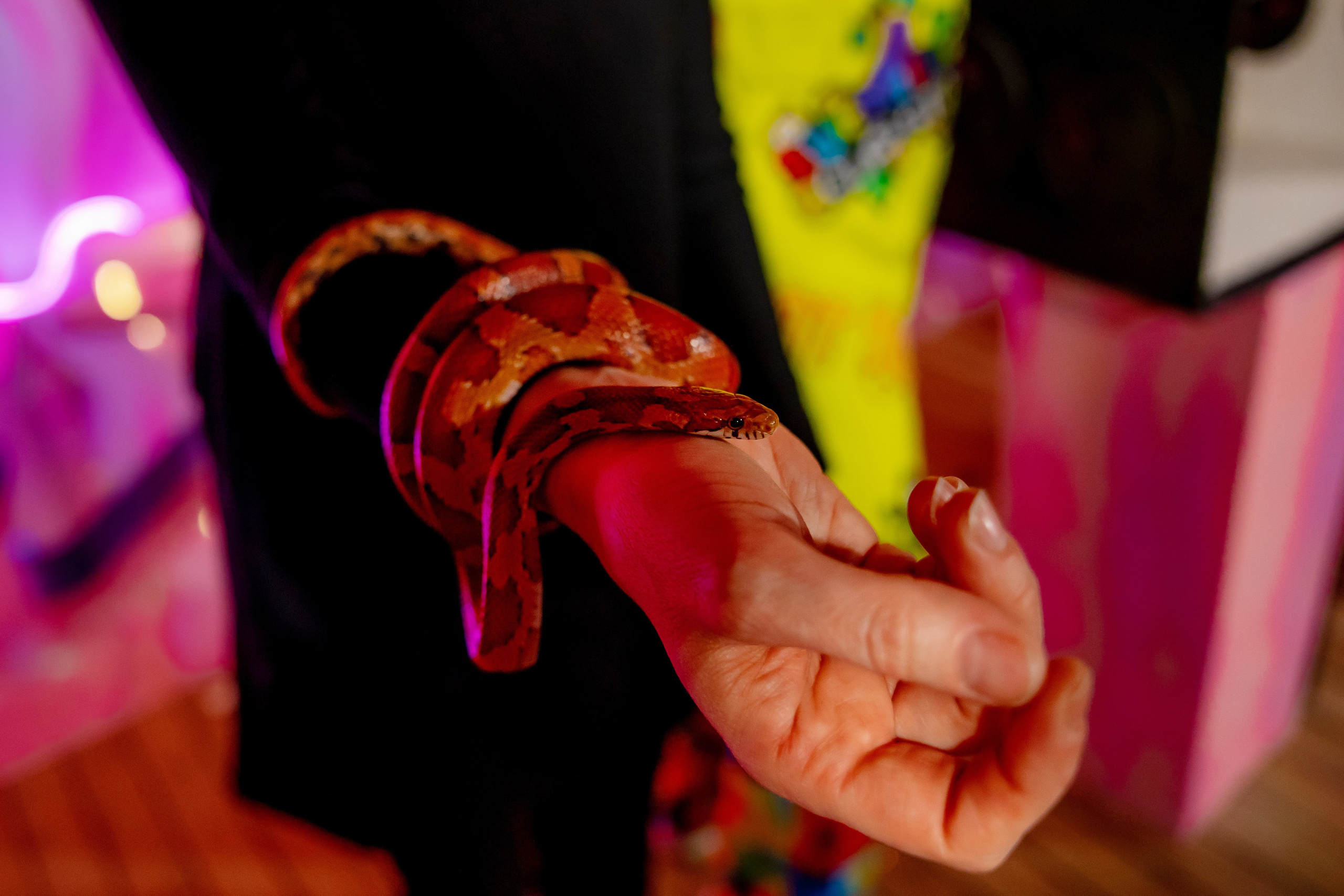 Детские праздники. Семейный фотограф в Москве