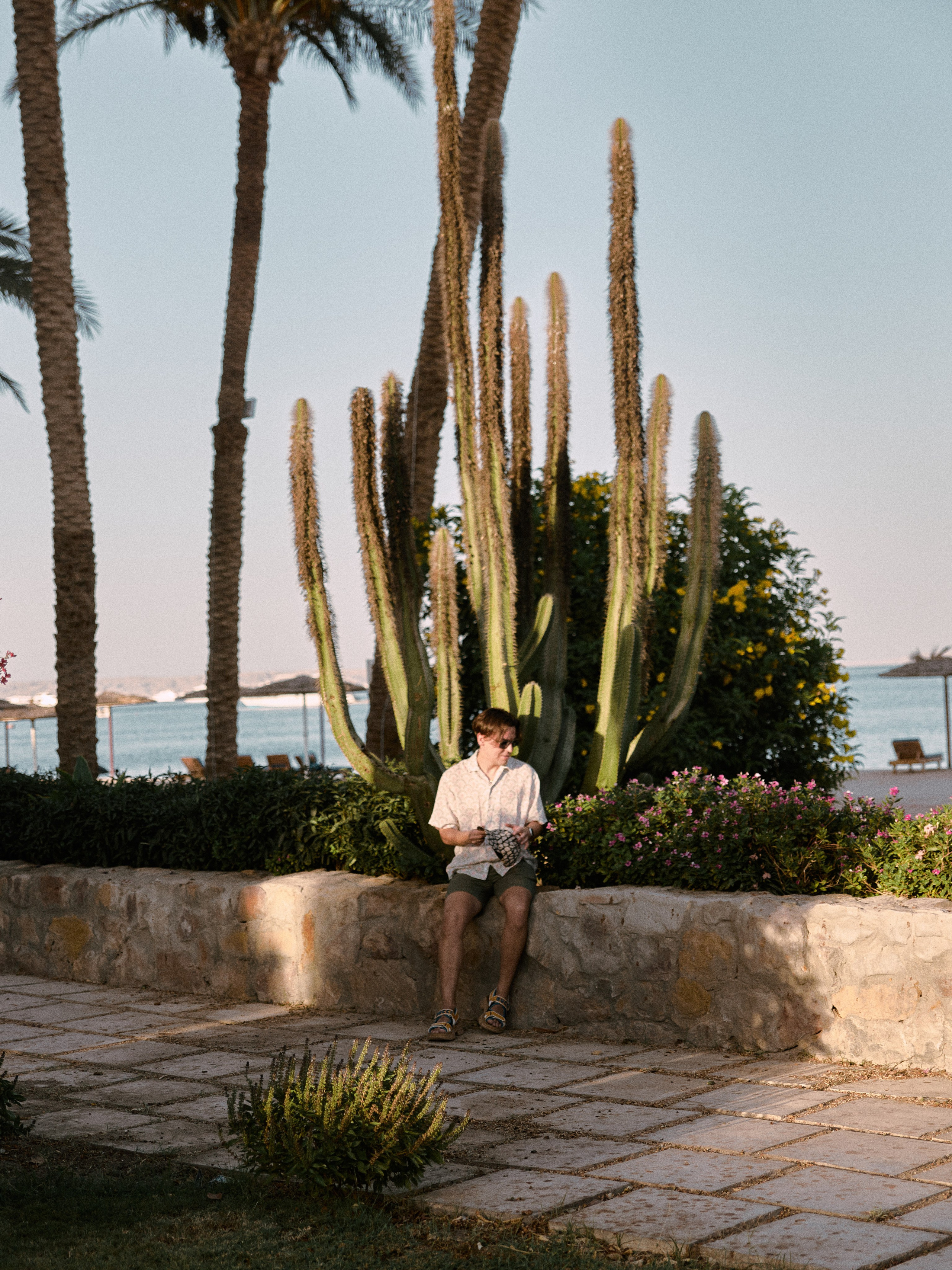 Max. Jorgis — фотограф в Хургаде / обучение фотографии