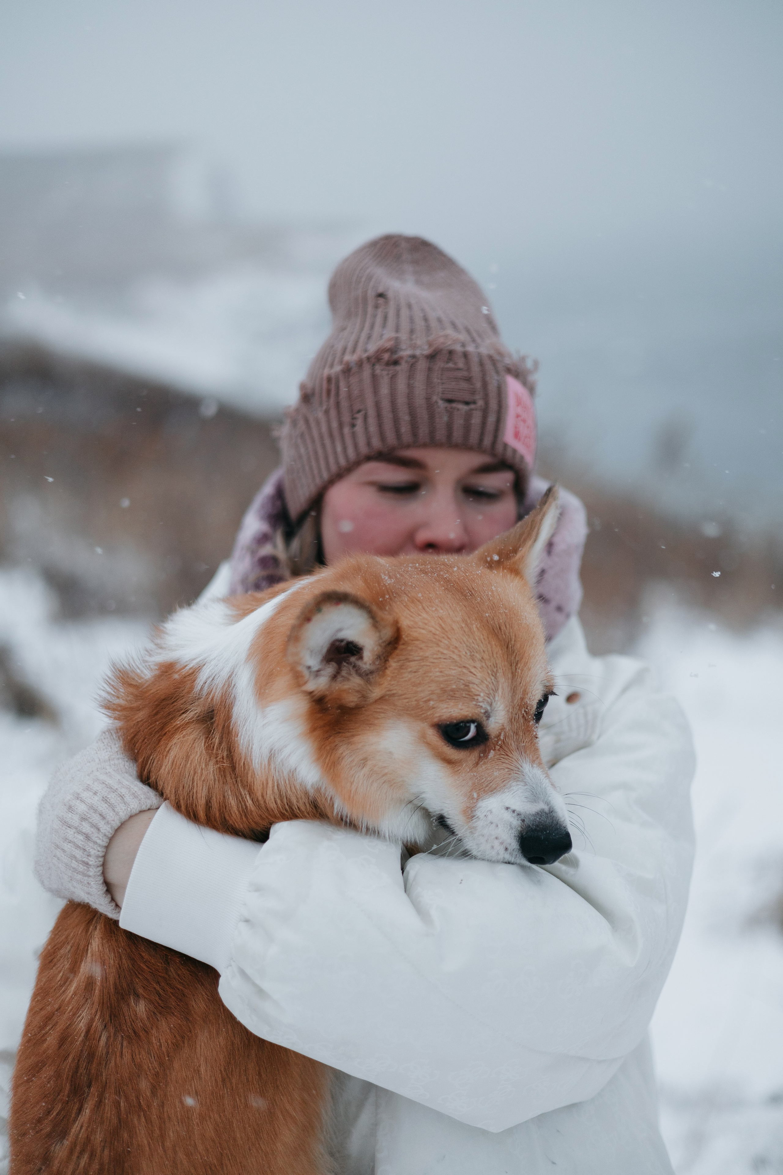 Лена, Лиза и Мия. Фотограф — анималист Владивосток, Алина