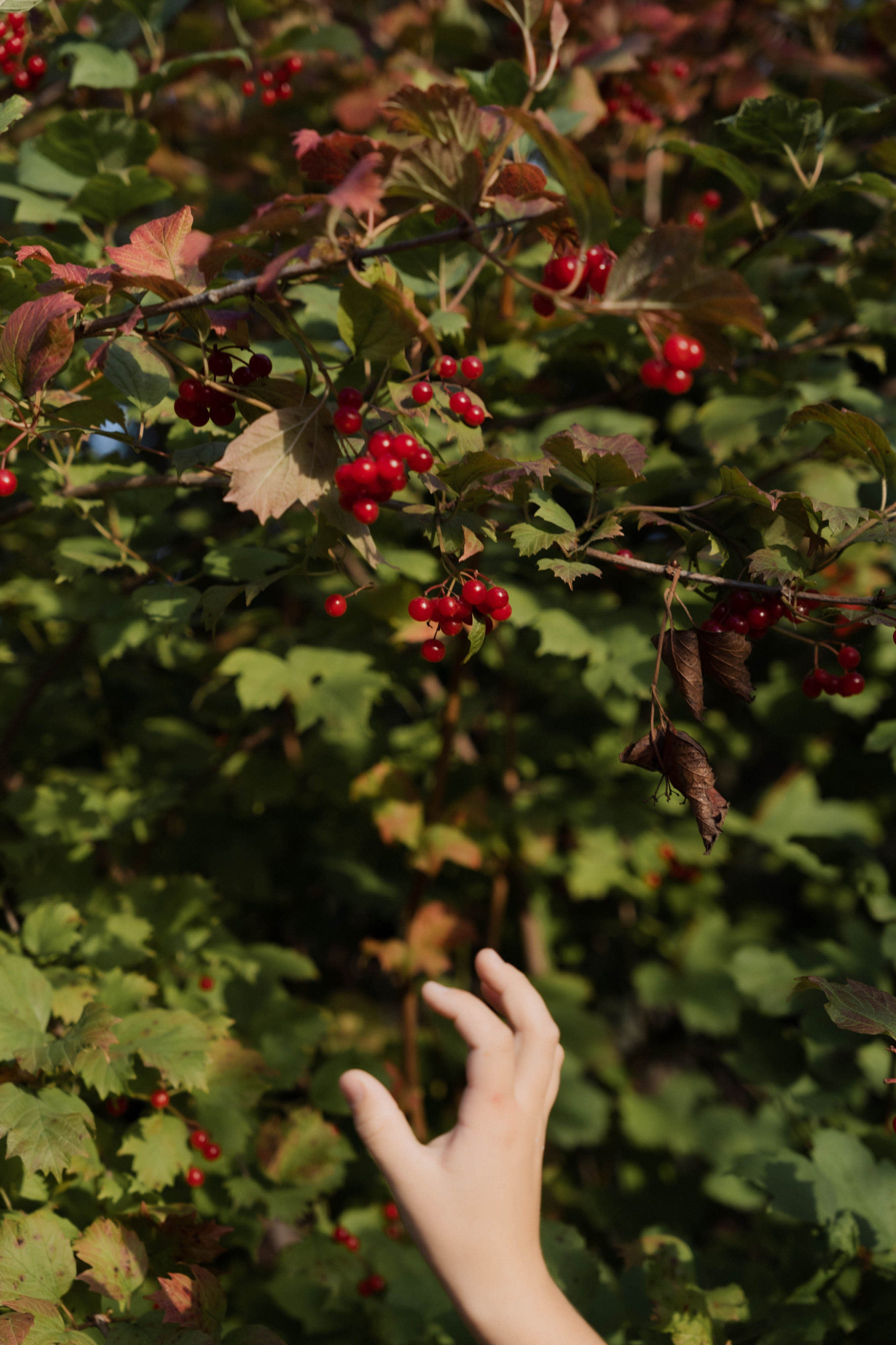 Семейные истории. ФОТОГРАФ КСЕНИЯ СОСНОВСКАЯ