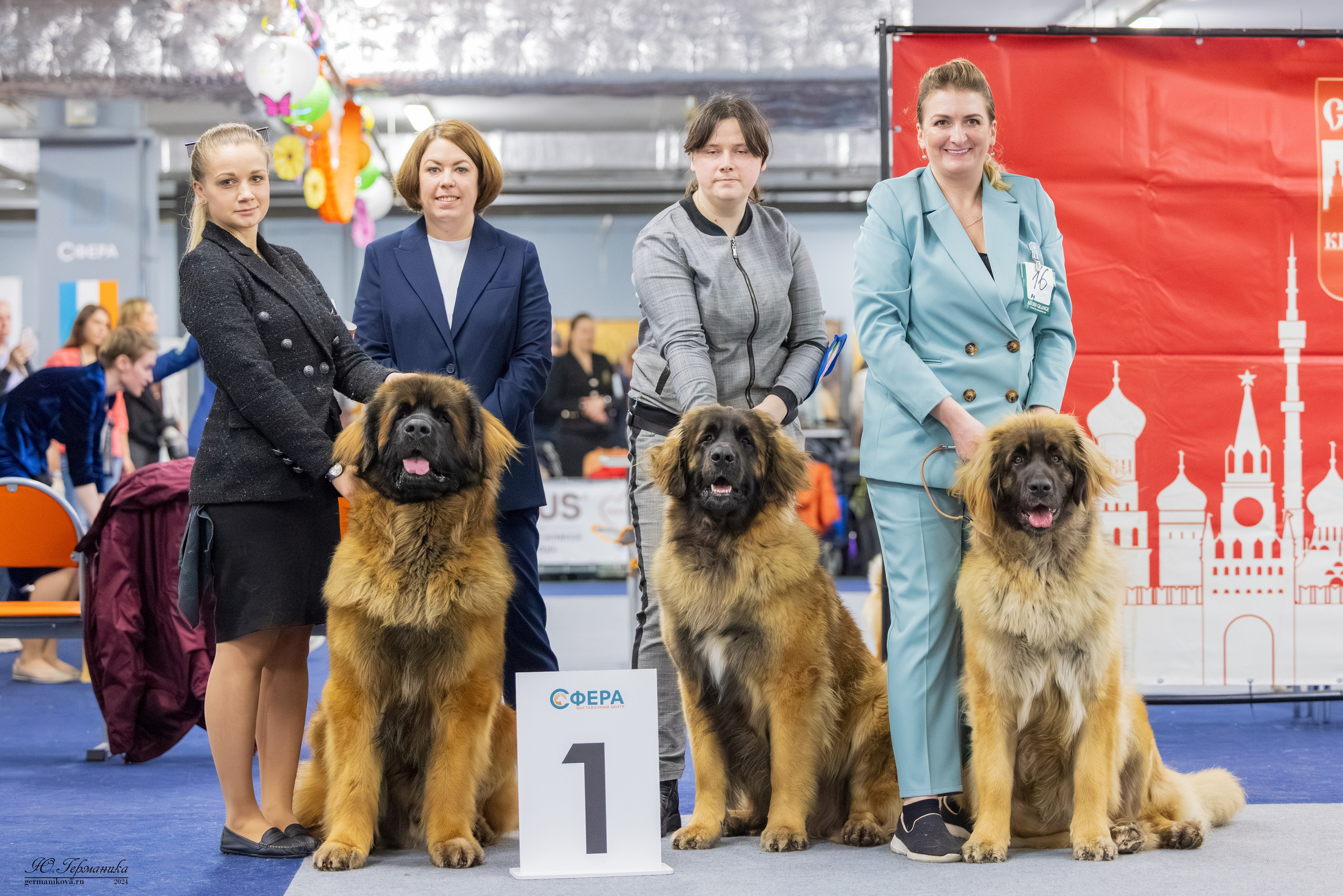 Сфера 17.03.2024. Фотограф-анималист Юлия Германика