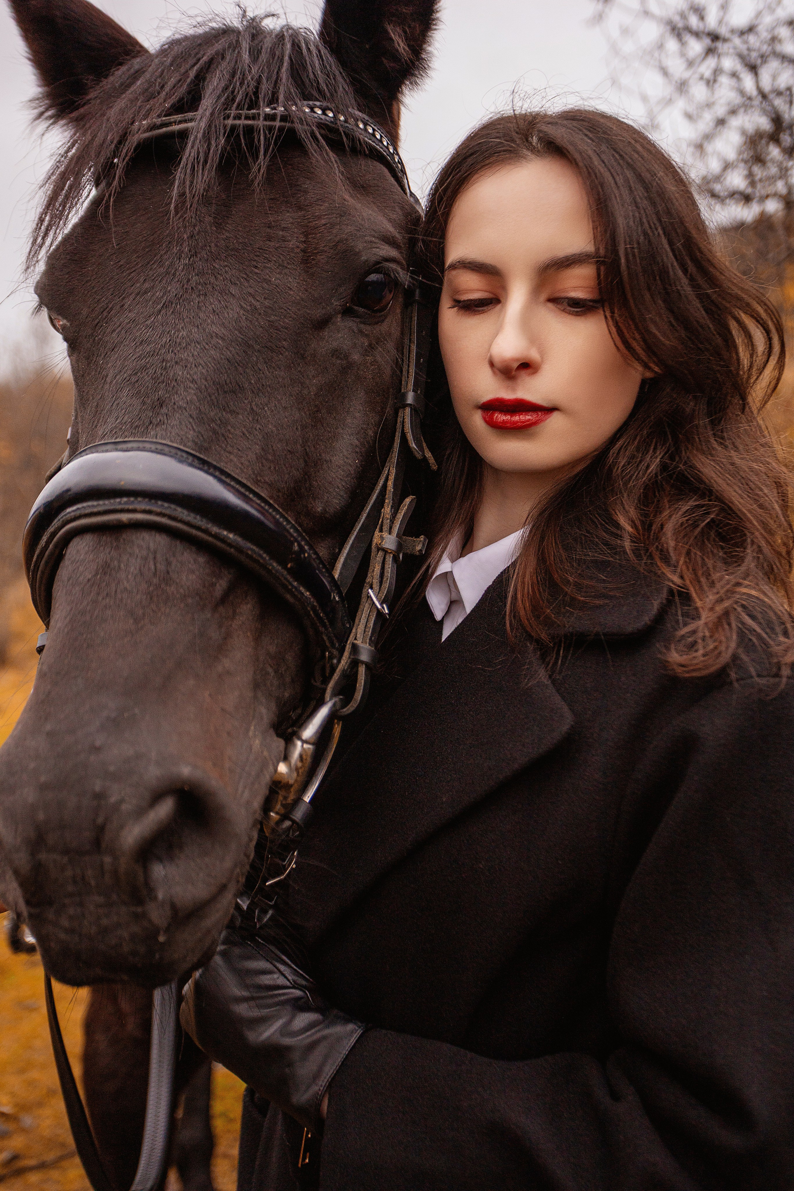 Horses. Фотограф Мурманск Лилия Маер