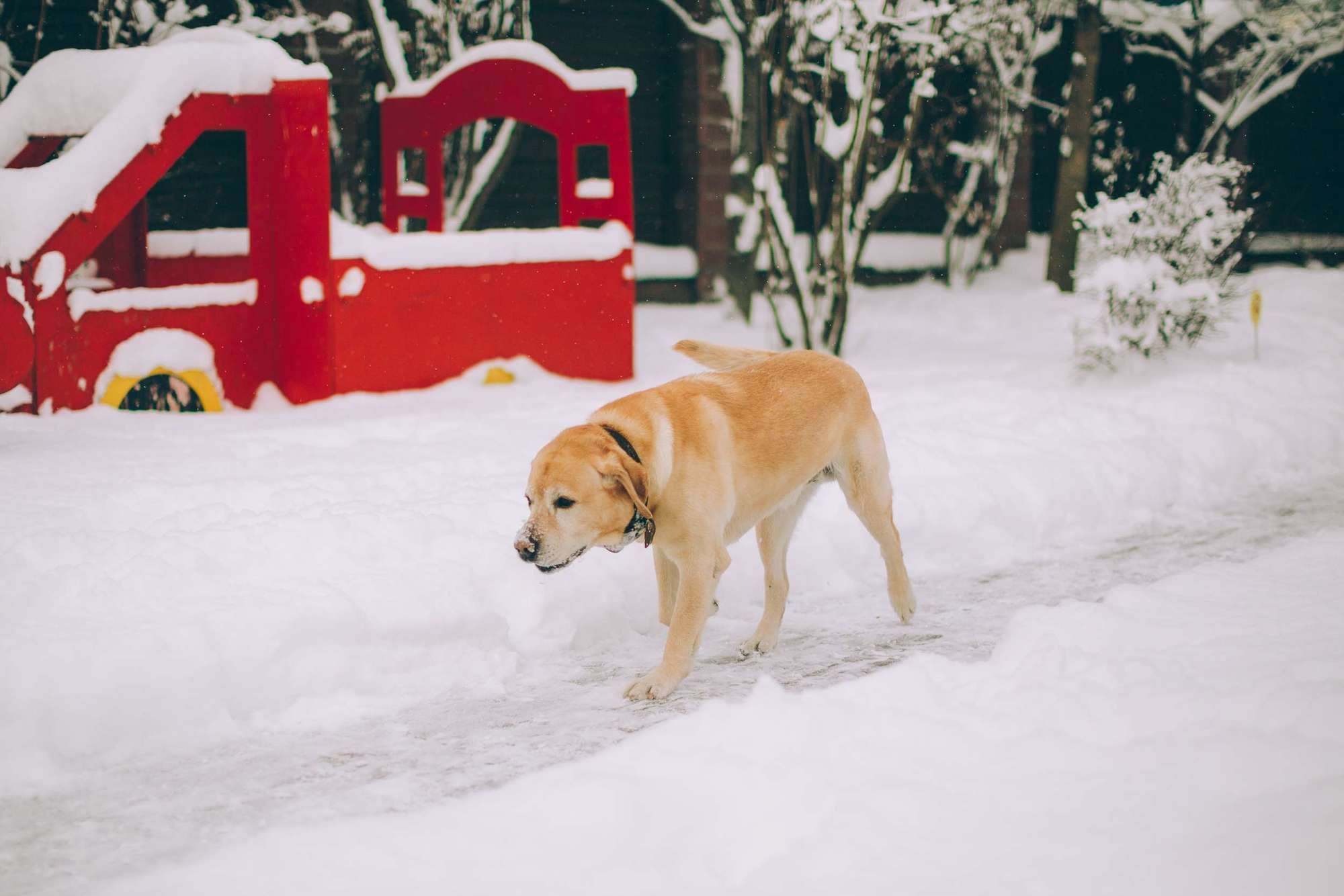 Семейная фотосессия семьи Маргариты