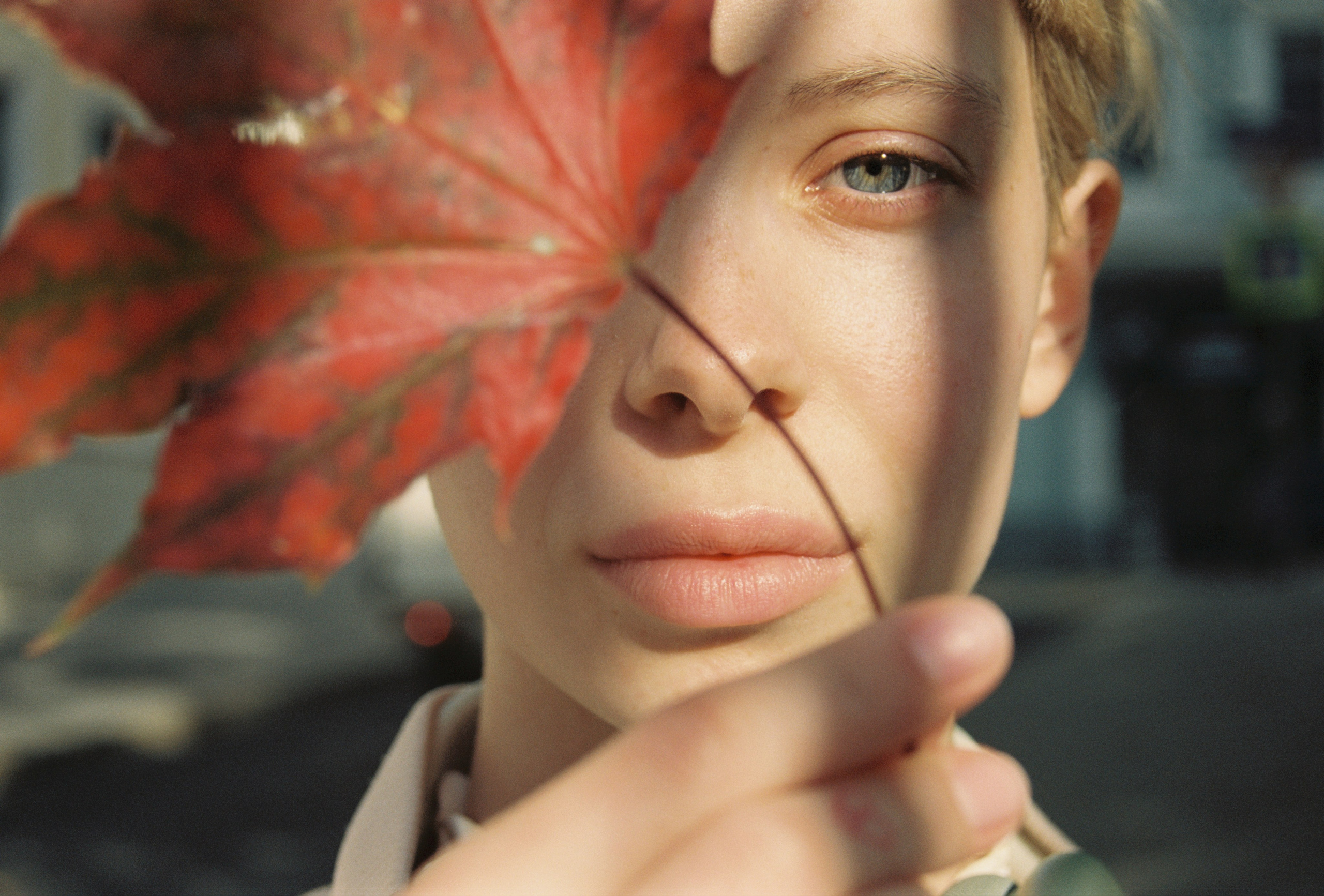 Film chronicle. Kosky ilya