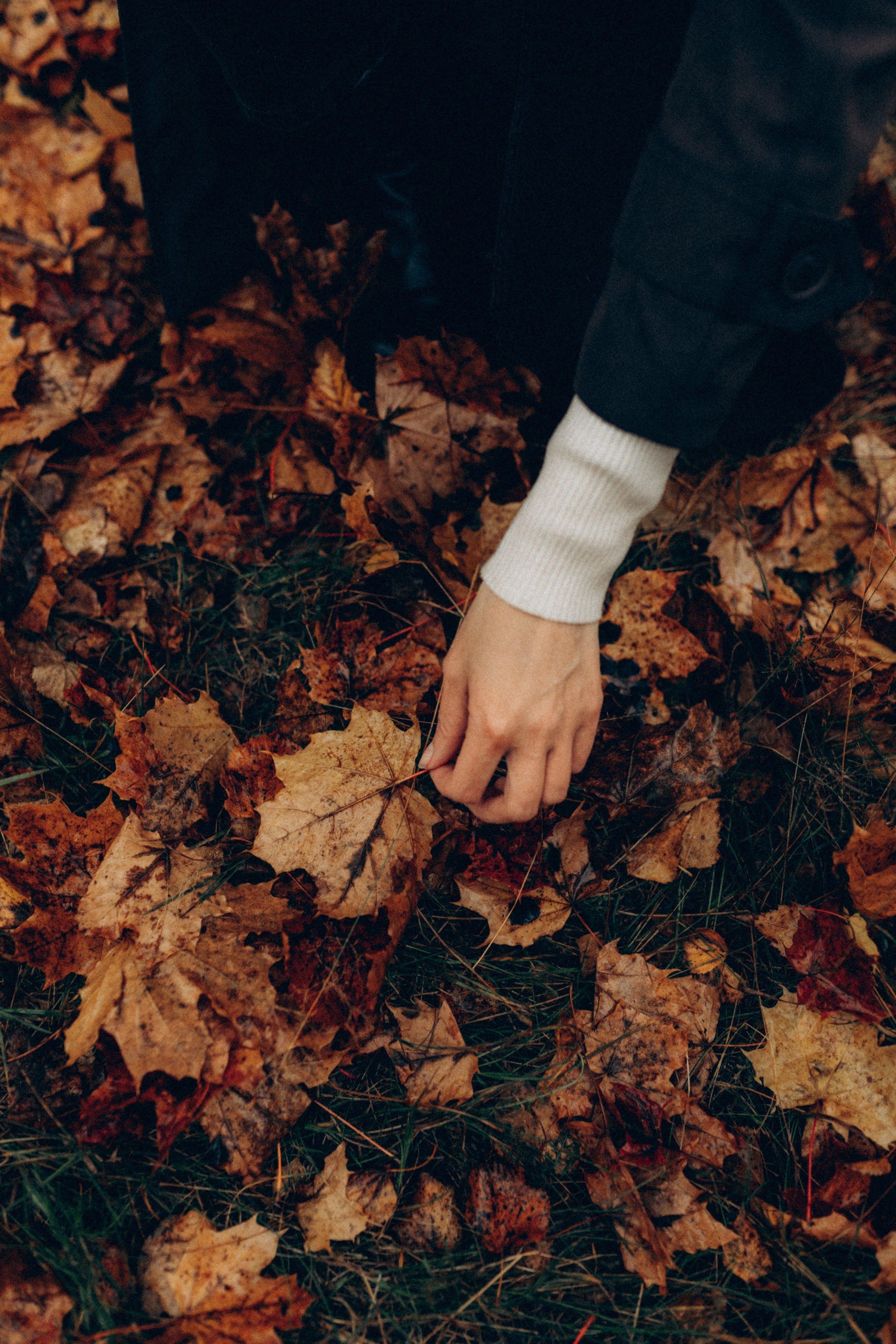 Анфиса & Нисма. Фотограф НОГИНСК, Москва, Анастасия Белая