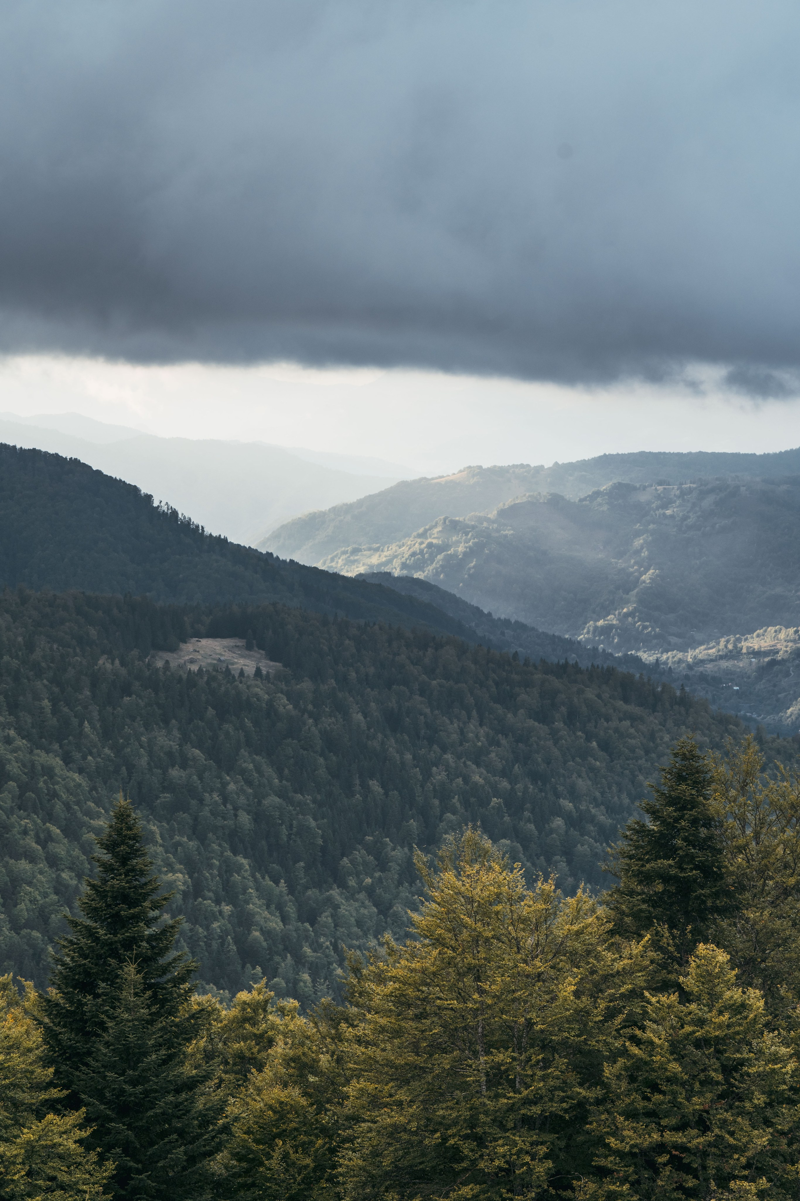 ГОРЫ КОМОВИ. ЧЕРНОГОРИЯ. Фотограф в Белграде Чугреева Елена