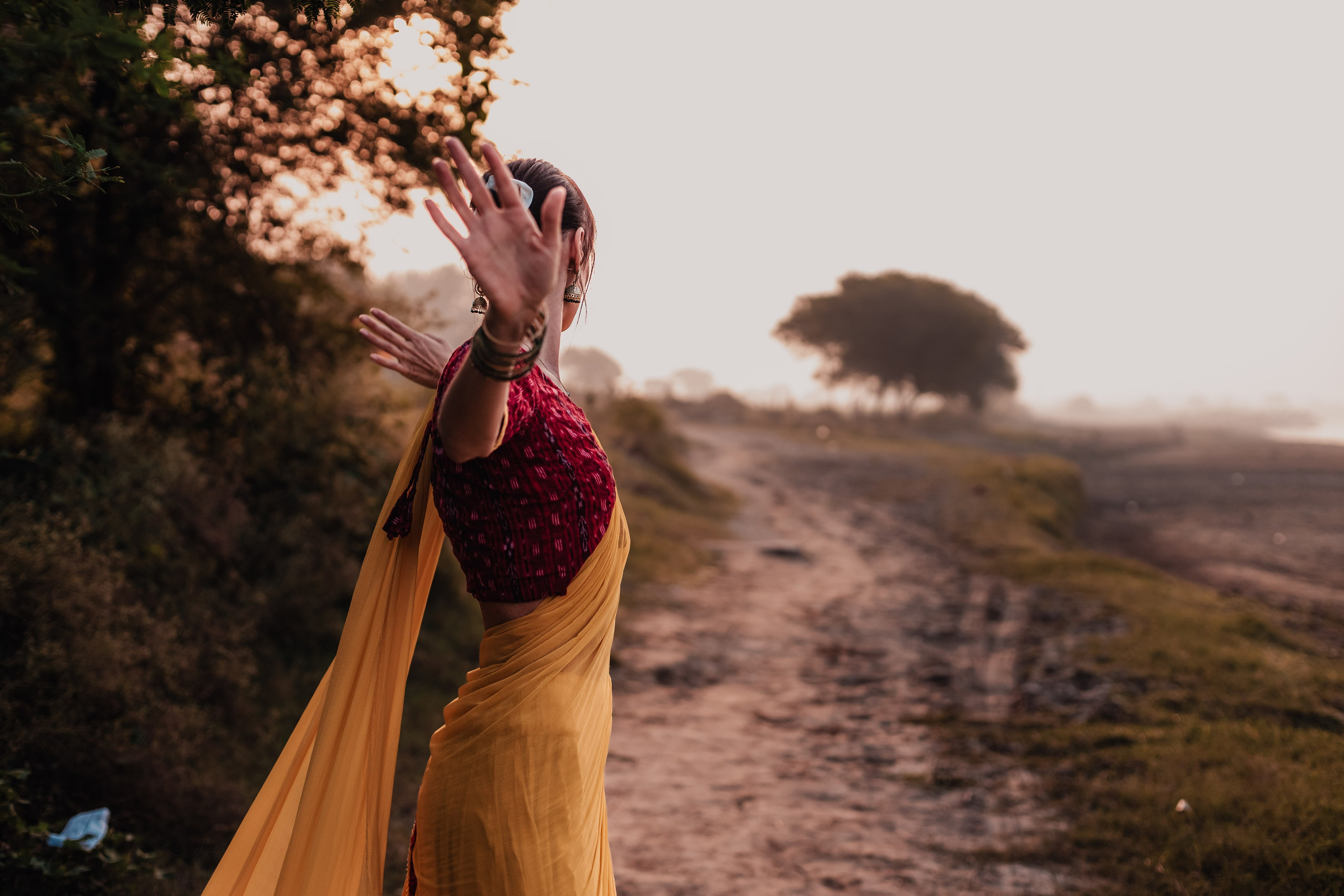 Minakshi Devi. Мариам Багдасарян