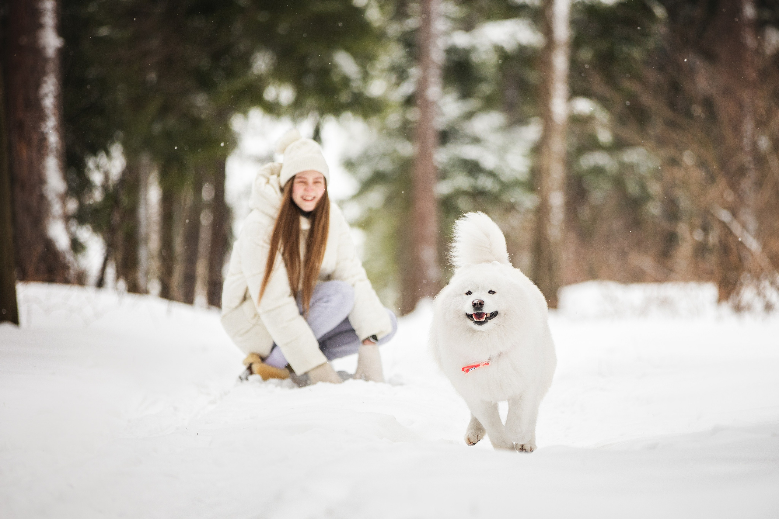 Валя, Варя и Лада. Фотограф анималист в Москве Майорова Евгения
