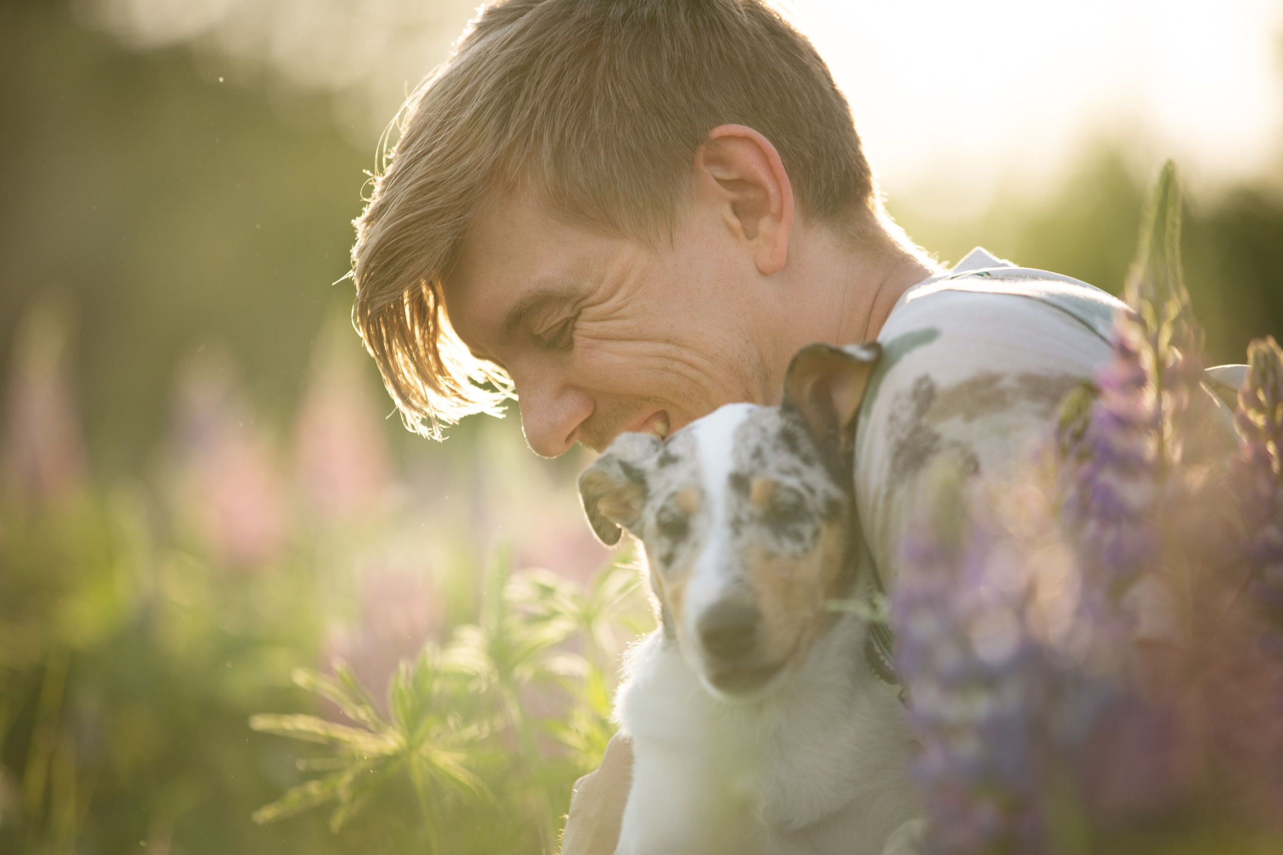Щенок короткошерстной колли в 3 месяца на прогулке в поле. Фотограф-анималист в Москве и Московской области Татьяна Фролова