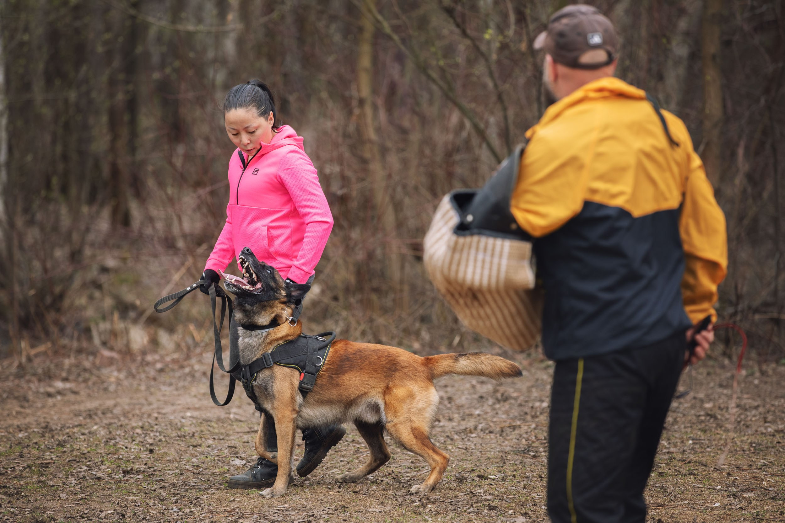 Съемка для рекламы услуг кинолога. Фотограф-анималист в Москве и Московской области Татьяна Фролова