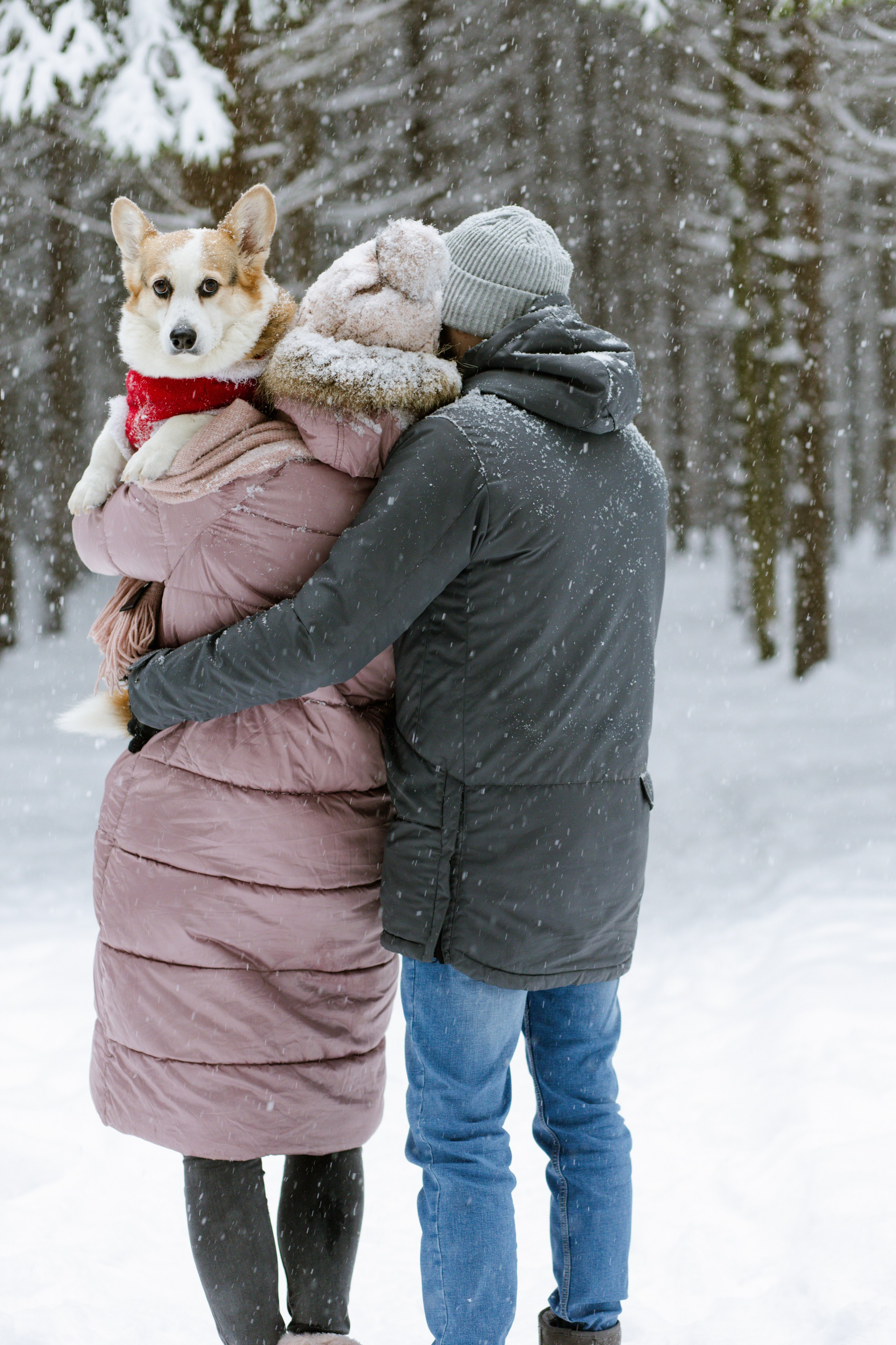 Маргарита и Александр. Фотограф Виктория Бурова