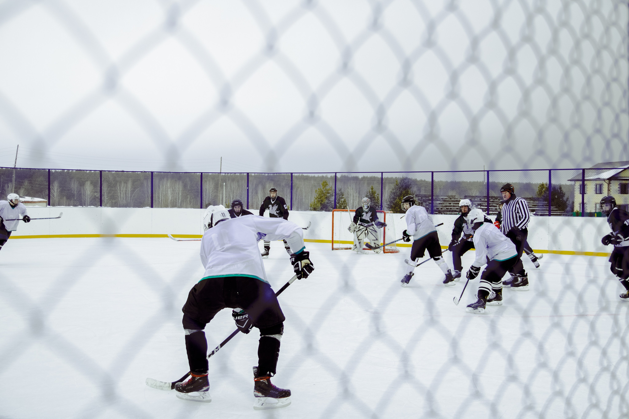 Хоккей 29.12.2024